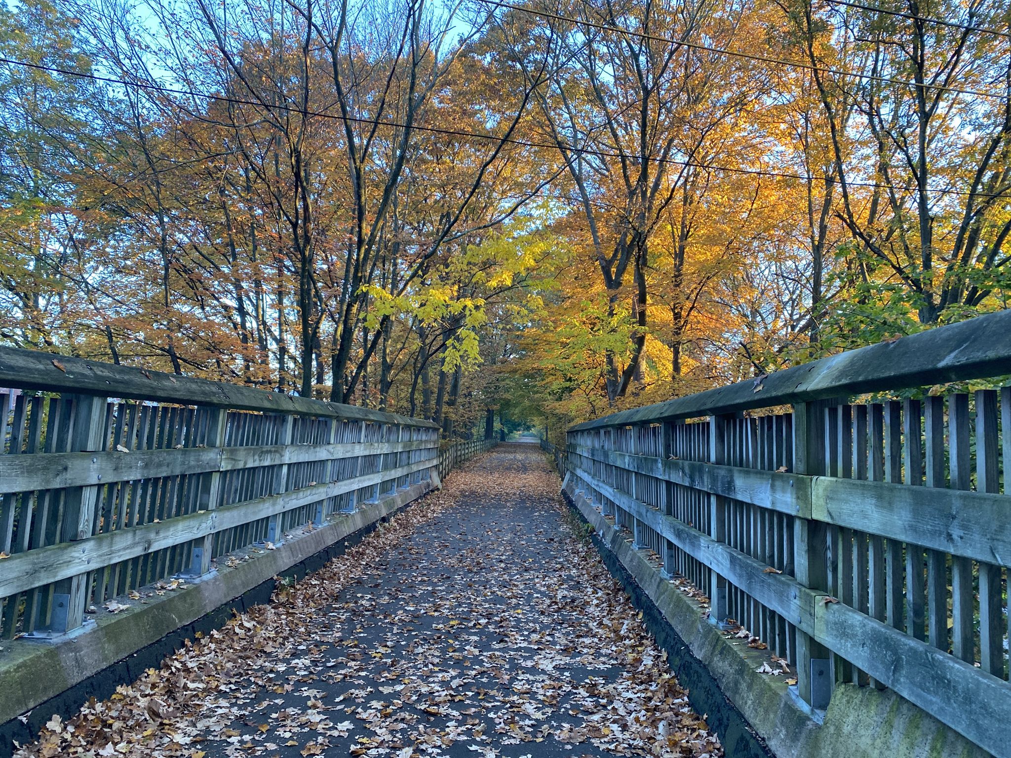 Wooden bridge over a leaf-strewn path, surrounded by golden autumn trees. - Bass Tower – Fussy Coffee Science Park loop from Congregation Mishkan Israel