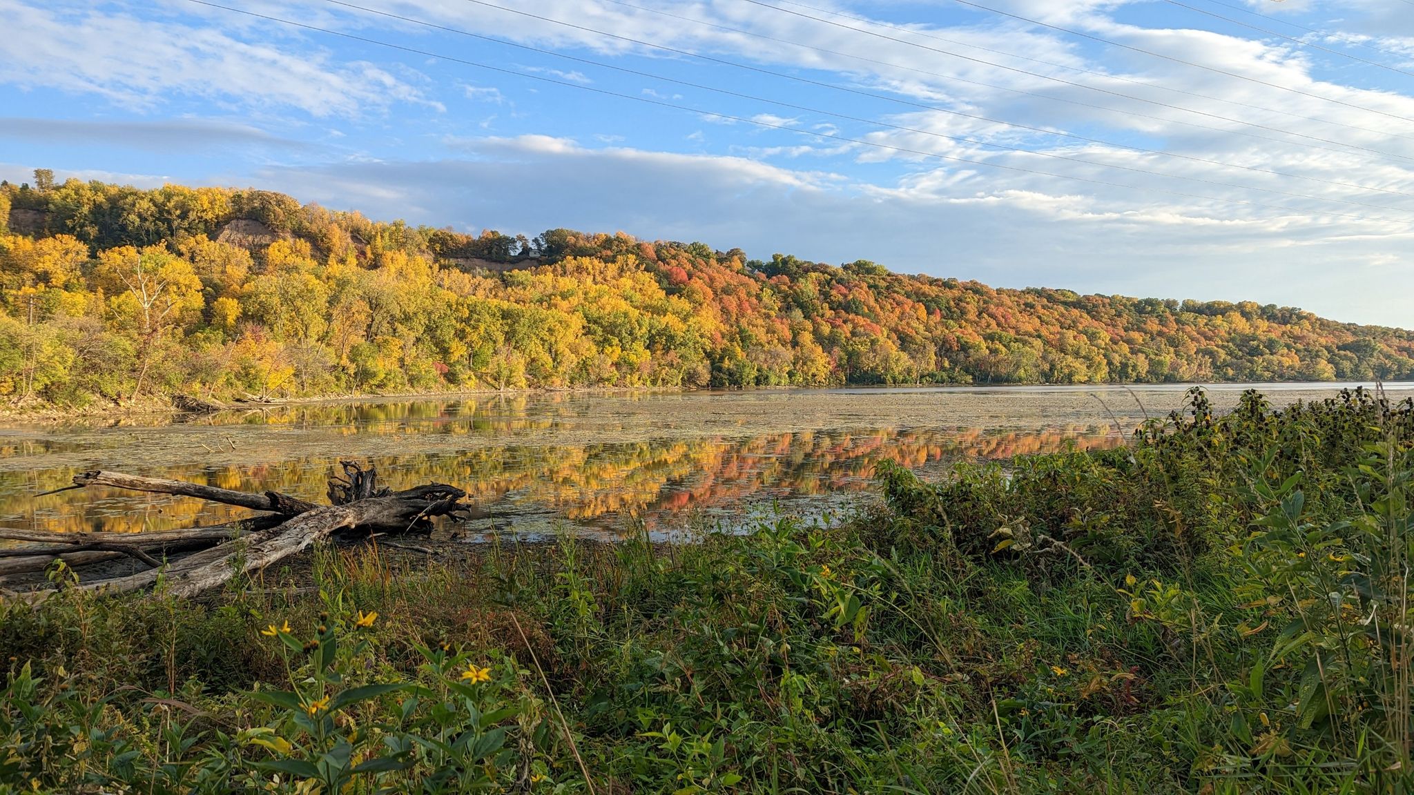 Autumn trees with vibrant colors reflected in a calm river under a cloudy sky. - Harriet Island Regional Park – Fort Snelling Scenic Overlook loop from Snelling Avenue