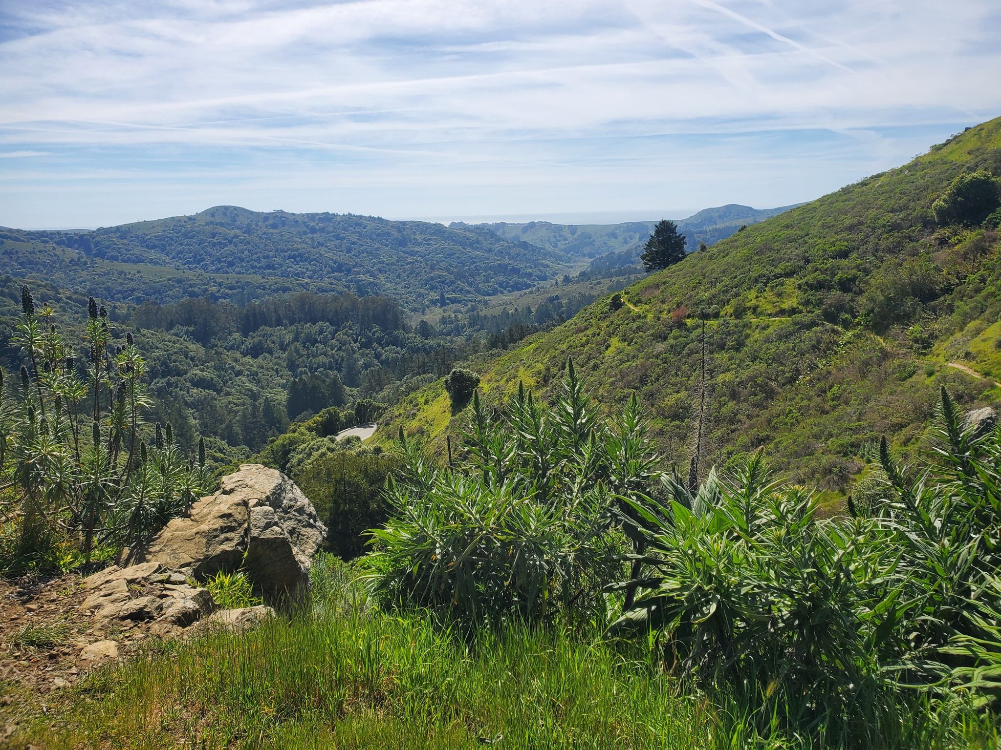 Sunny view of green hills, a valley, and distant water under a blue sky. - Dipsea Race Route
