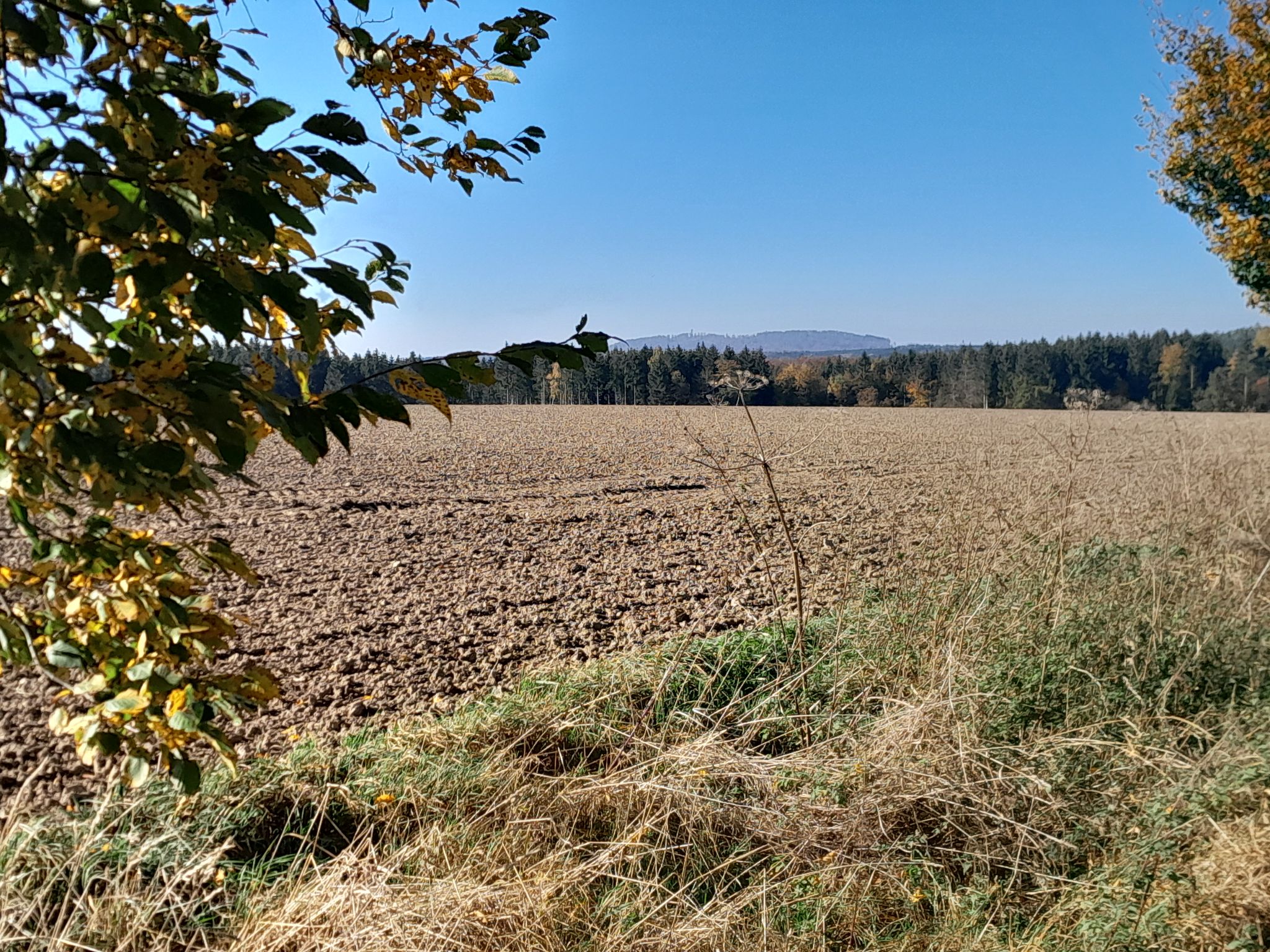 Sicht auf Josephshöhe mit Josephsturm