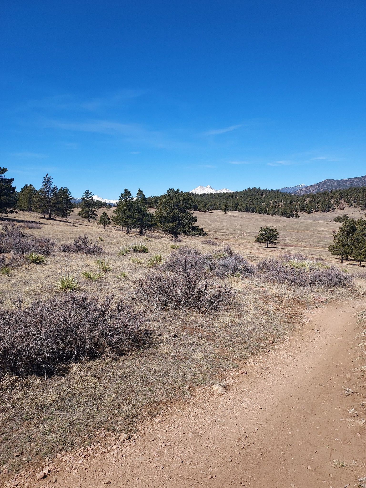 Dirt path through a dry field with shrubs, pines, and distant snowy mountains. - Hall Ranch Loop