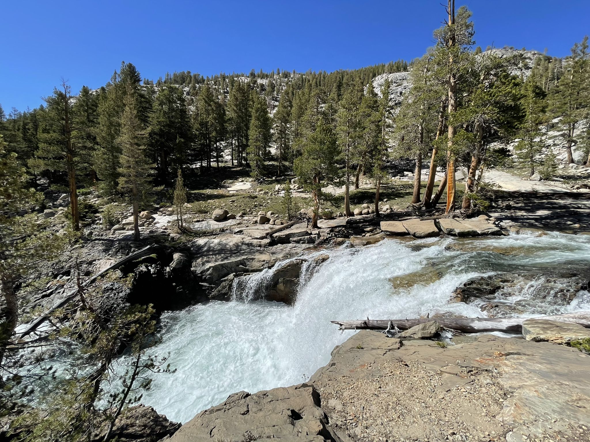 A rushing waterfall cascades over rocks, surrounded by pine trees on a sunny day. - Florence Lake to Evolution Valley Trail