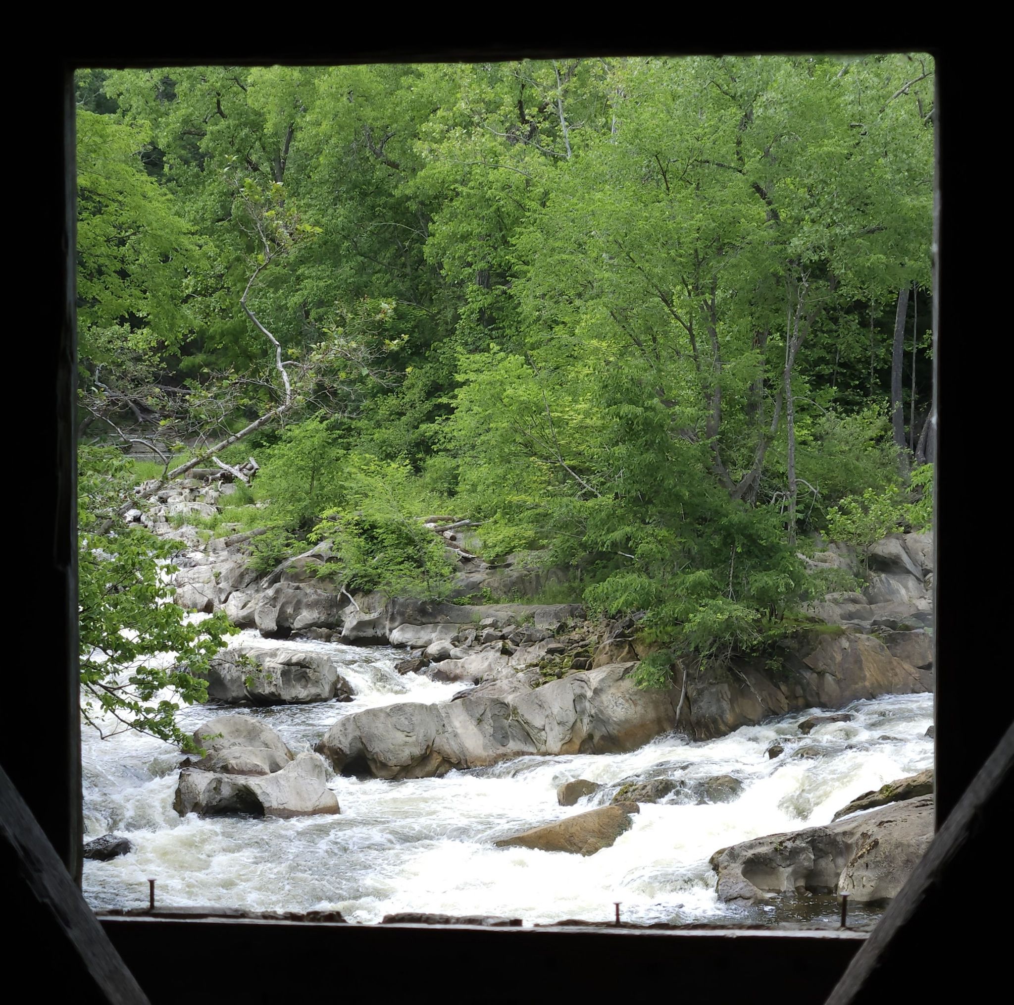 View of a rocky river with rapids framed by a dark opening and green trees. - Bulls Bridge loop from South Kent