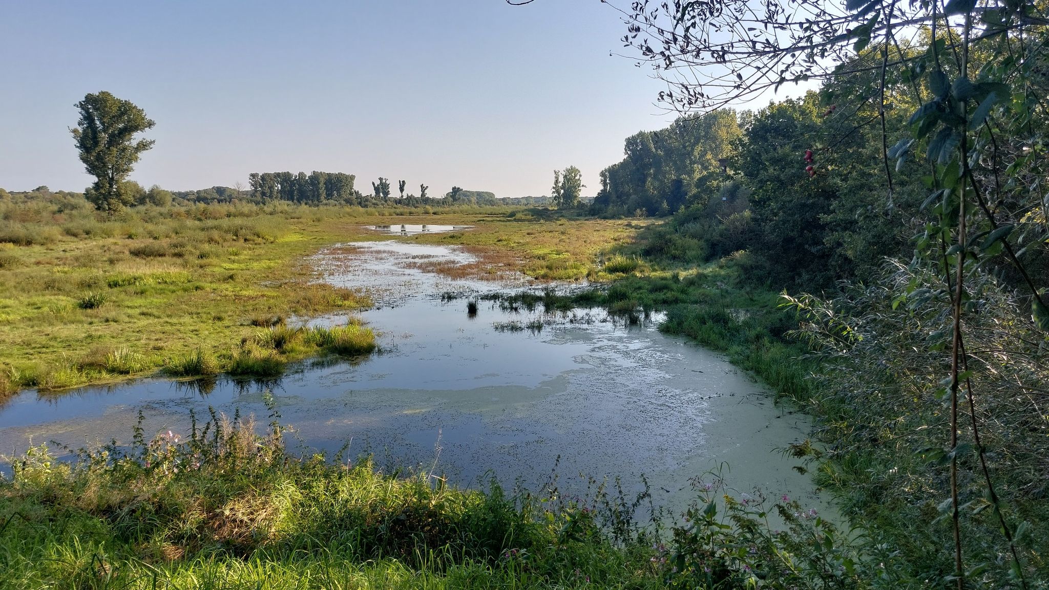 Aue Anglerweg
