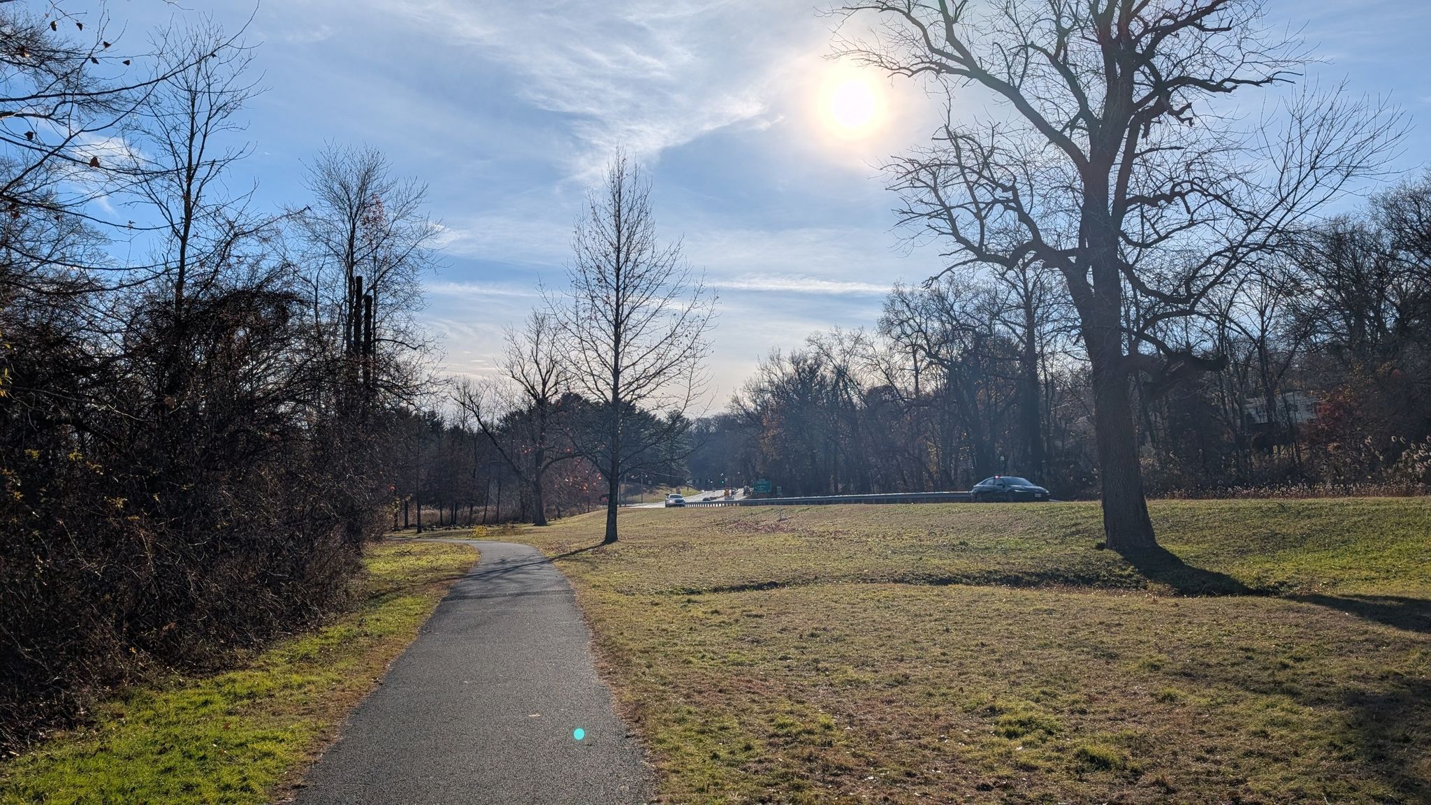Paved path alongside a sunny grassy field with bare trees and bright sky. - Bronx River loop from Greenburgh