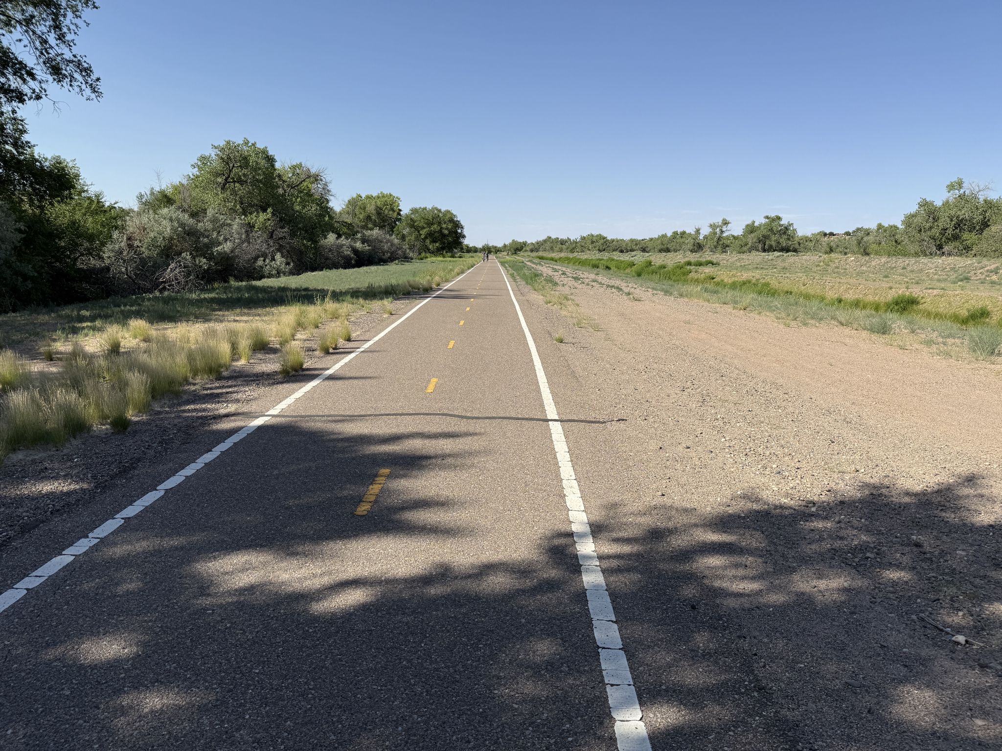 Long paved path with white lines, dry grass, and tree shadows. - View of the Rio Grande – Rio Grande Bosque loop from Los Ranchos de Albuquerque