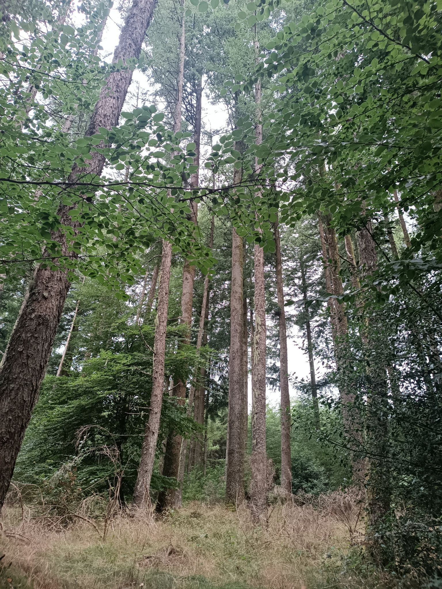 en route, à l'ombre