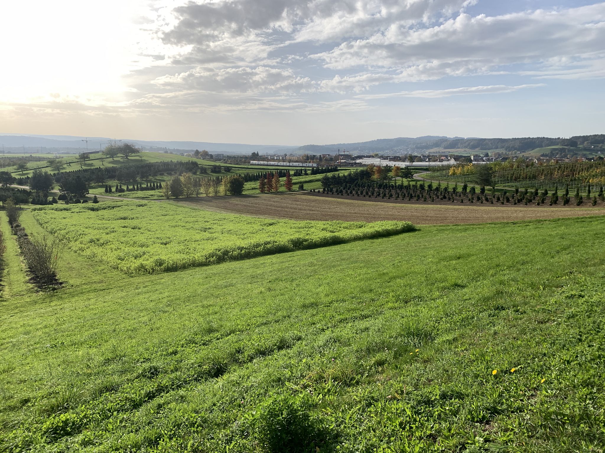 Blick Richtung Rafz