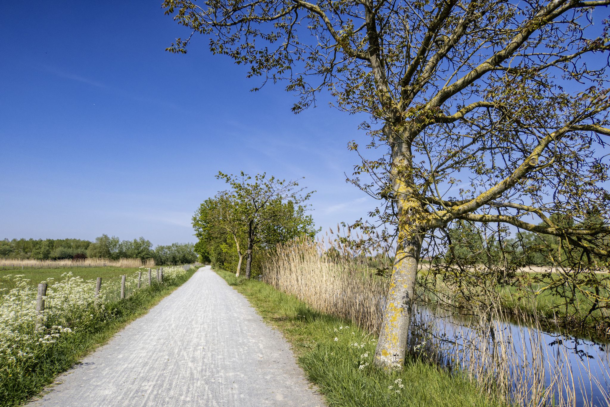 Door de Kalkense Meersen
