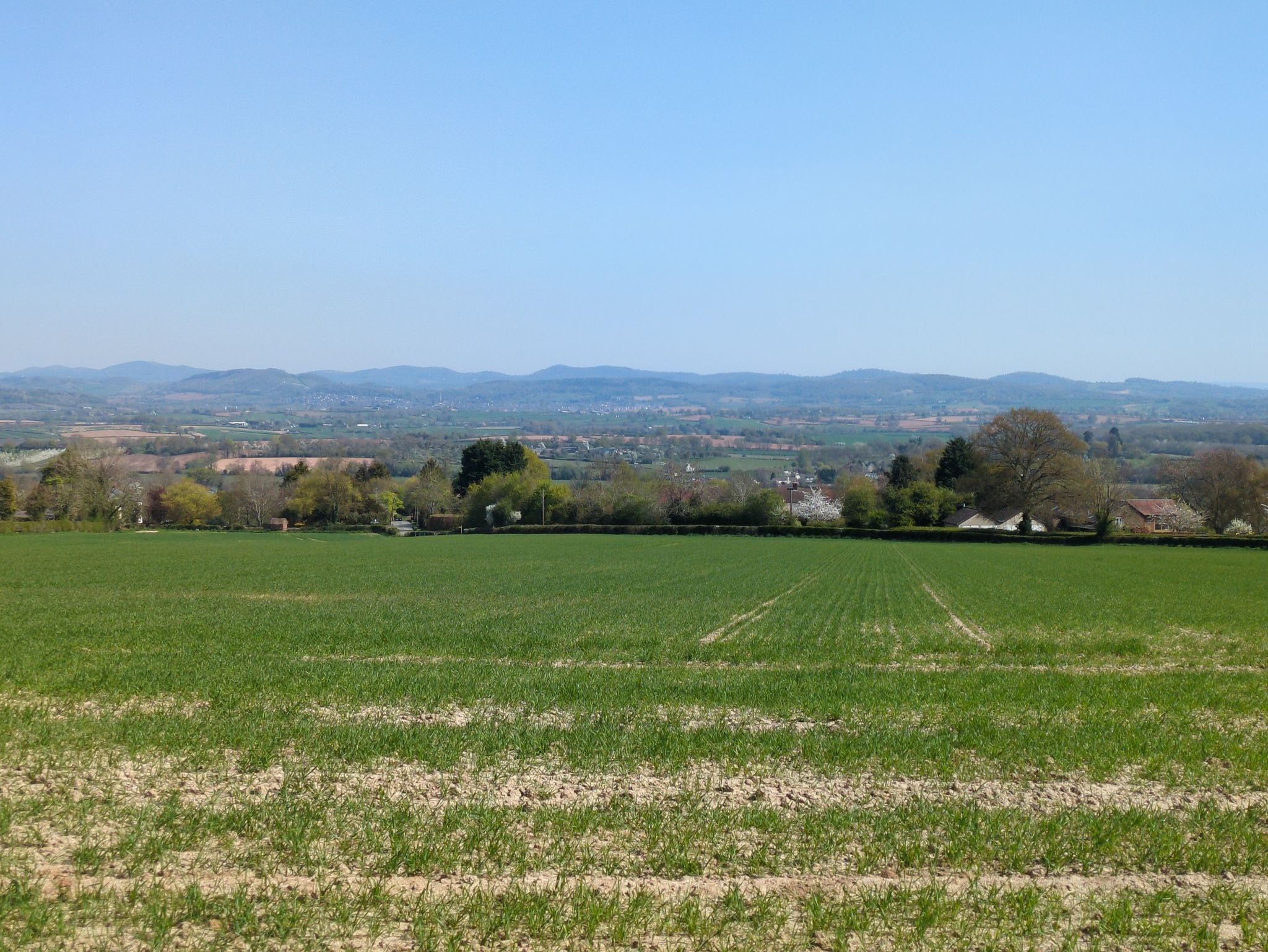 Looking towards Much Marcle and the Malvern Hills