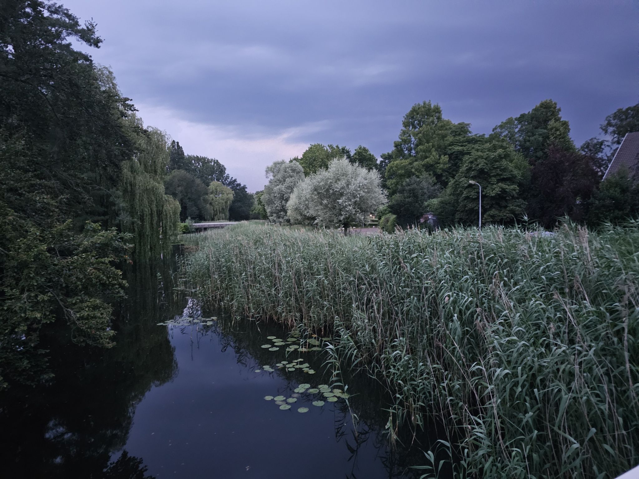 de Reest