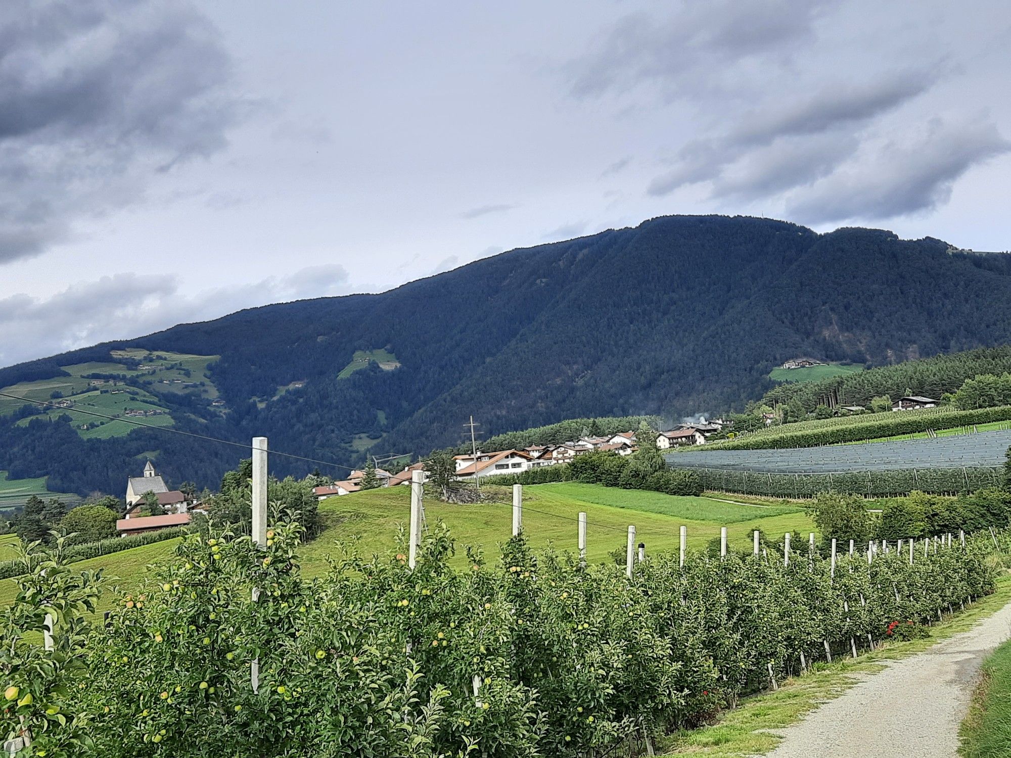 Natzer Apfelweg
