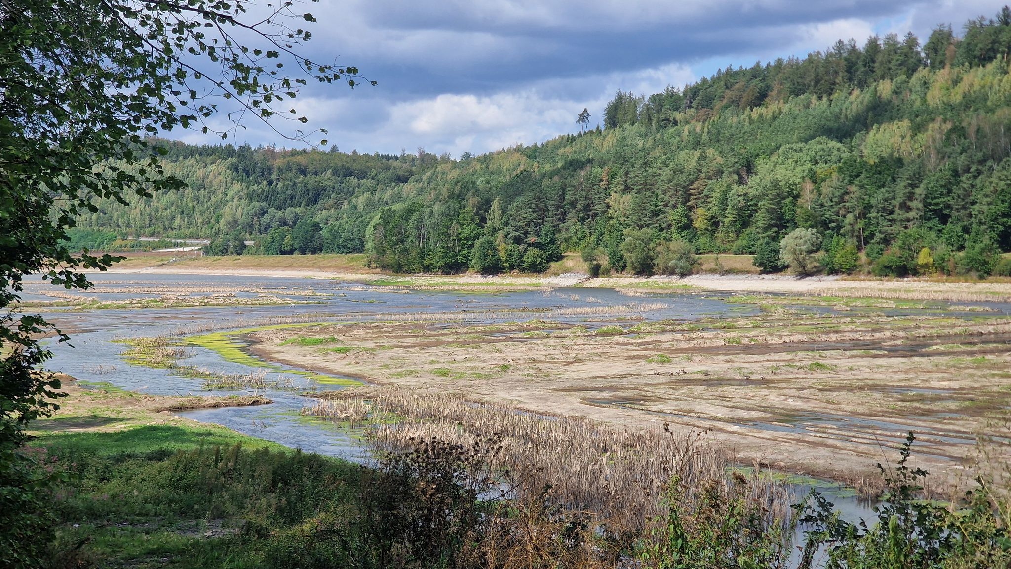 Kinzigstausee - wenig Wasser