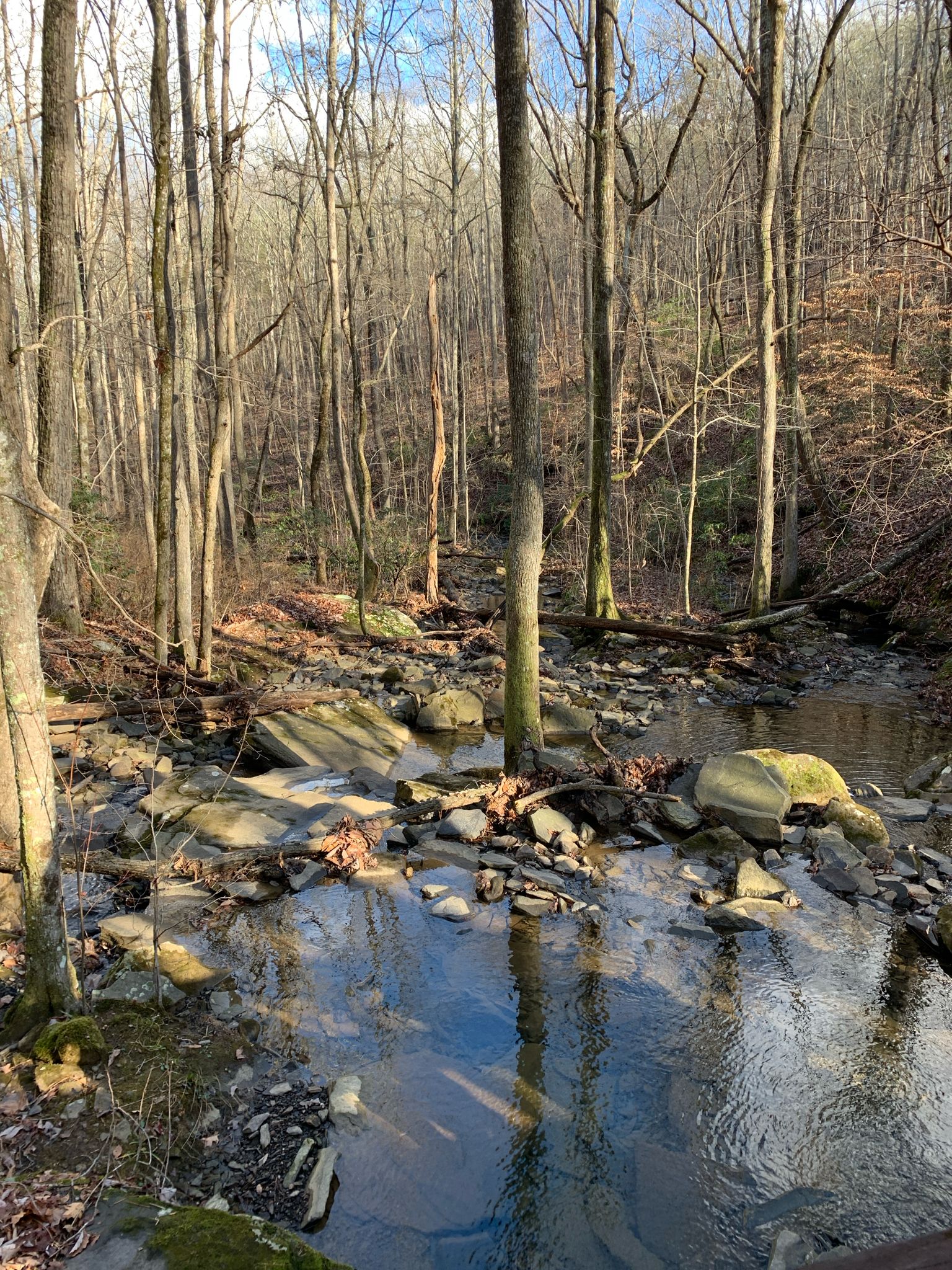 Sunny forest stream with bare trees and rocks, reflecting blue sky. - Cumberland Trail