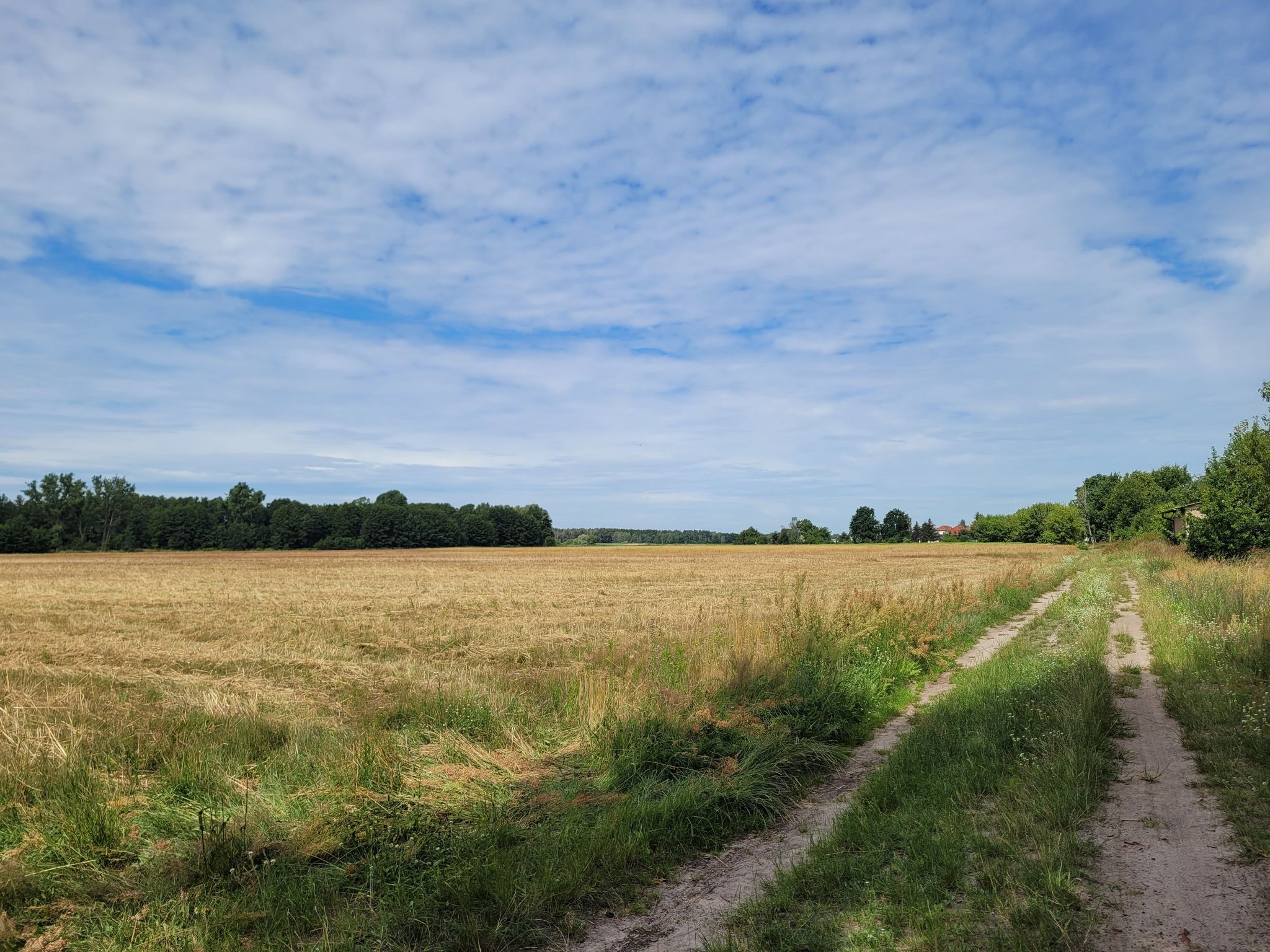 dieser Feldweg war herrlich - es gab unzählige Schmetterlinge