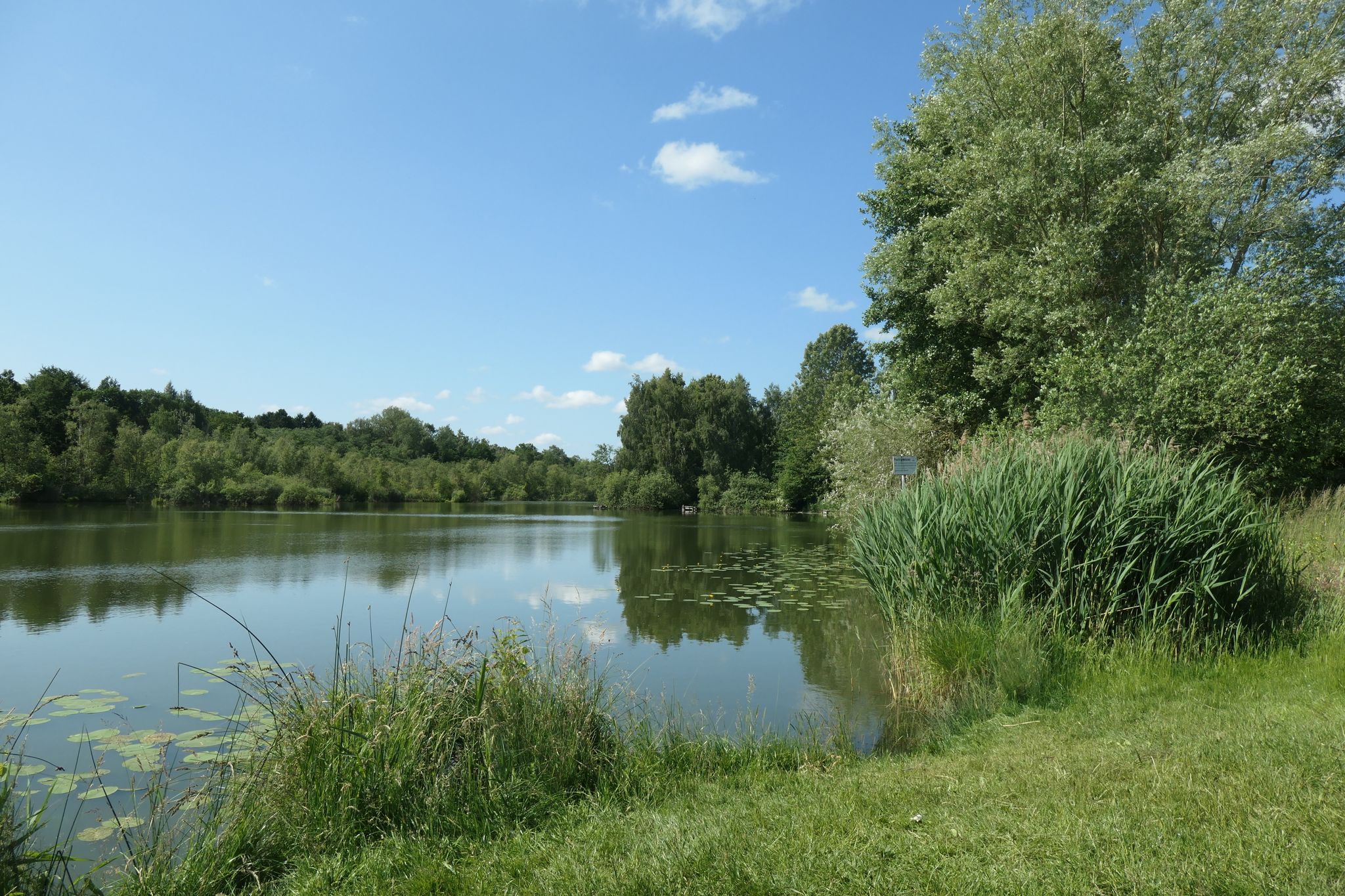 Großer Teich in Selmsdorf