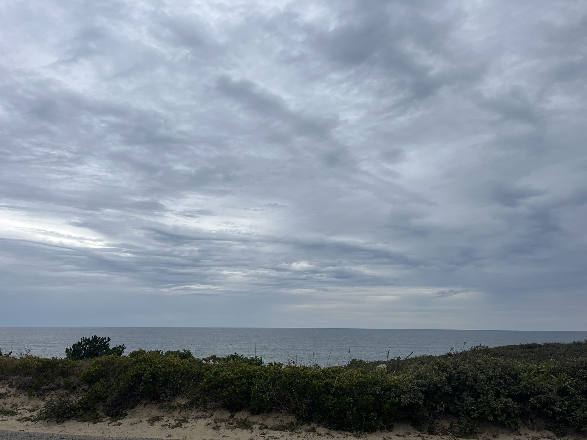 Overcast sky above a calm ocean, seen from a sandy dune with vegetation. - Ocean viewpoint – White Crest Beach loop from Wellfleet