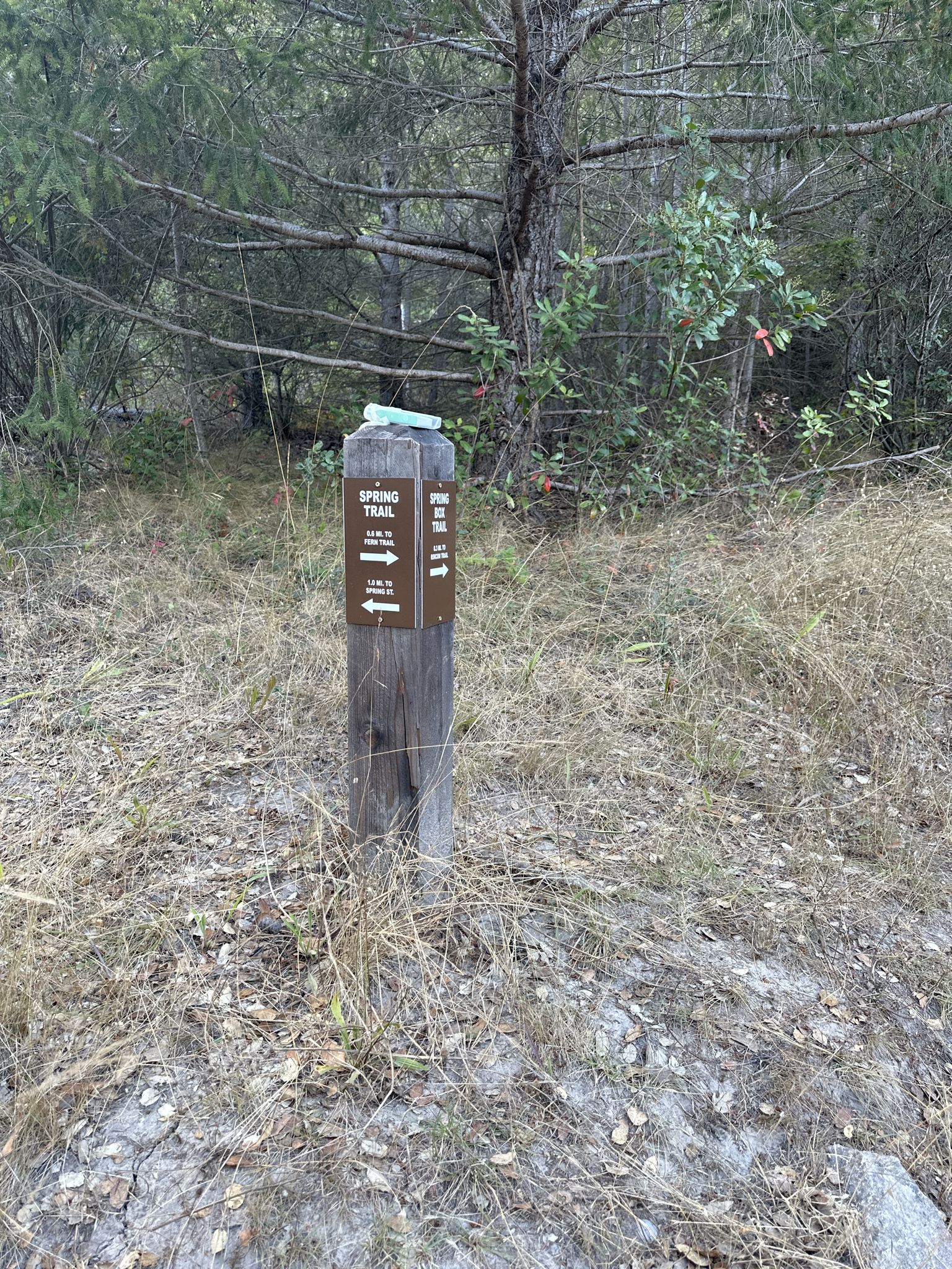 Wooden trail signpost with arrows in a dry, grassy, wooded area. - Lookout Loop Trail