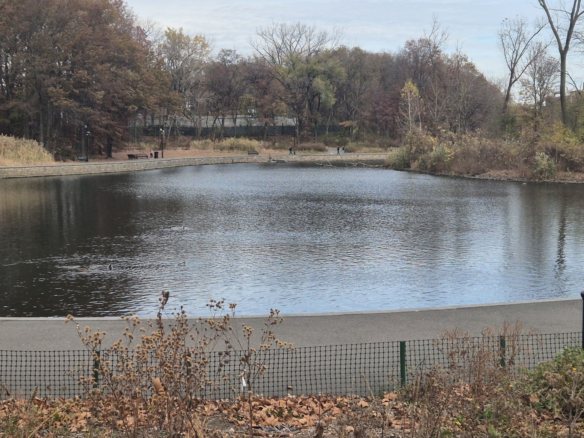 Calm pond surrounded by autumn trees under an overcast sky, distant figures. - James J. Braddock Park loop — North Bergen, New Jersey