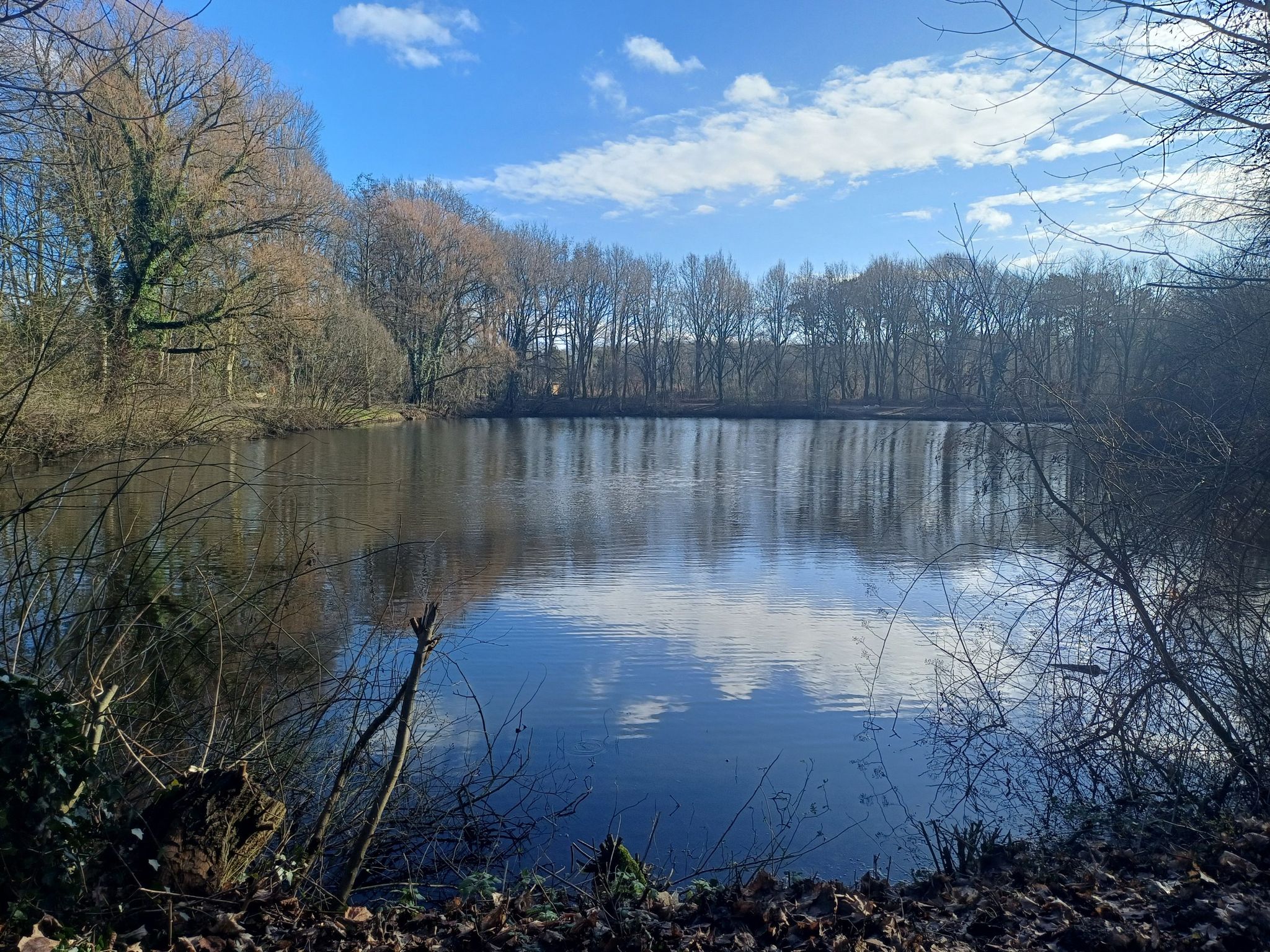 Frensdorfersee.