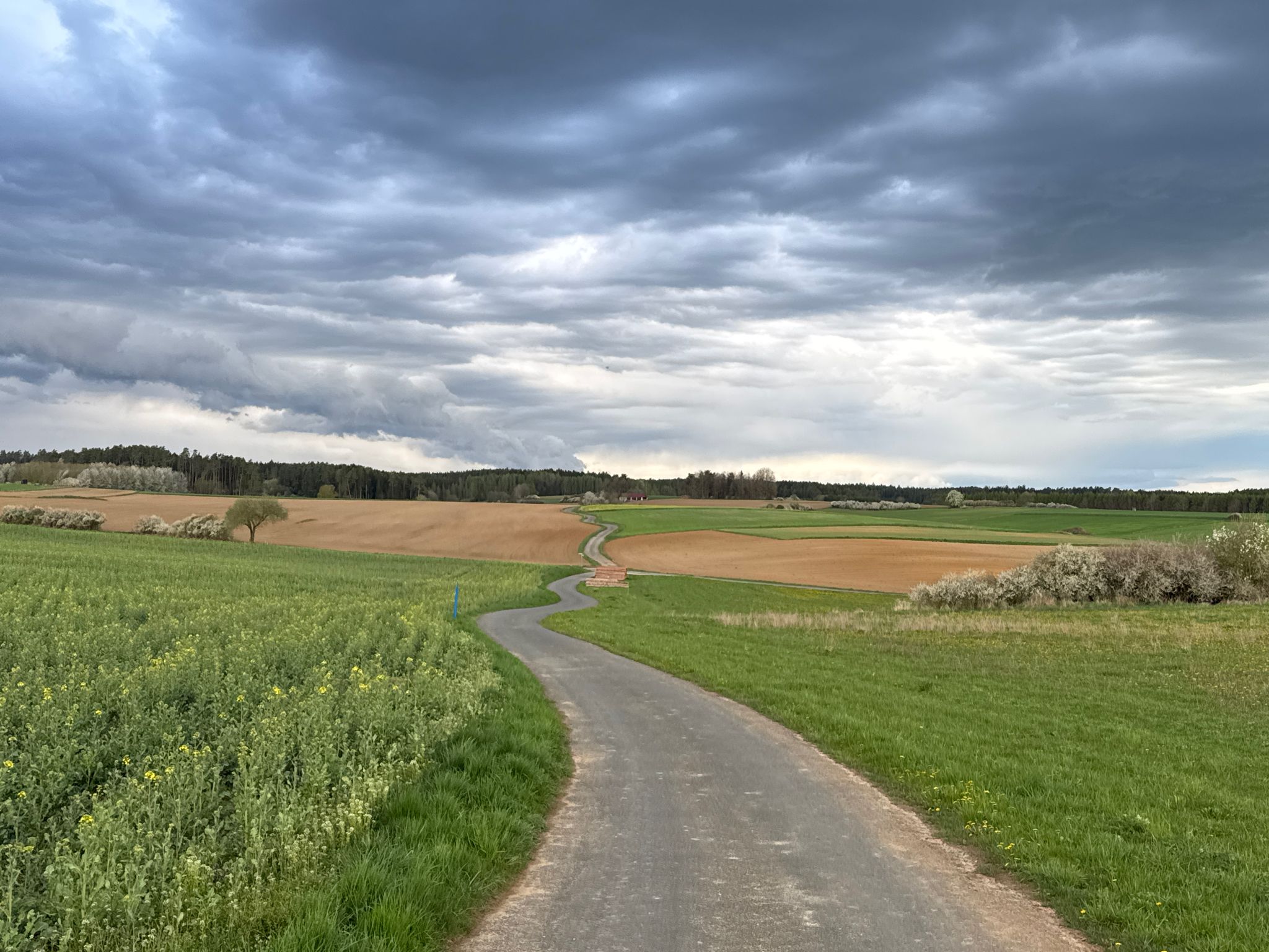 Heimatliebe ❤️