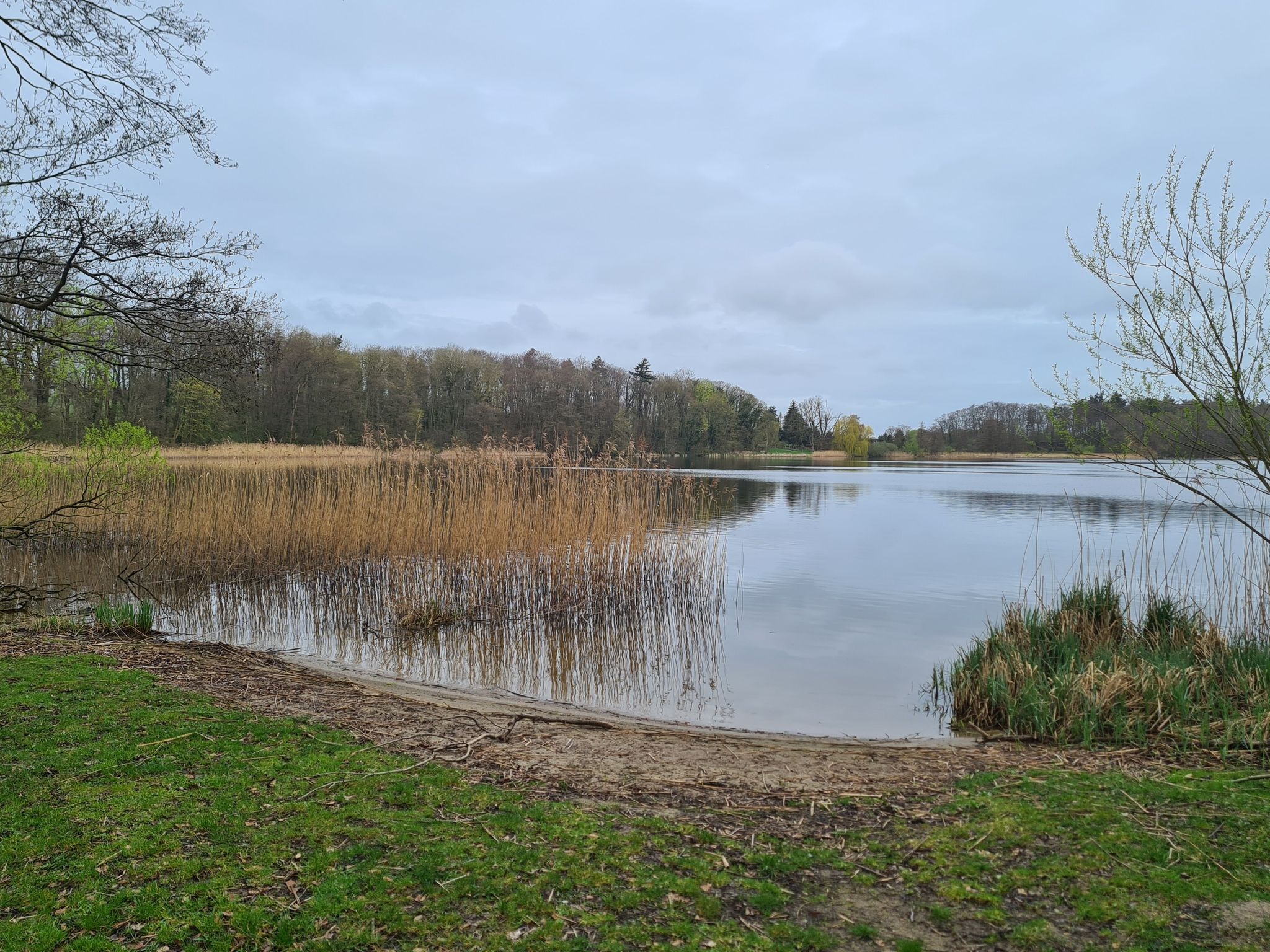 Trebbower See