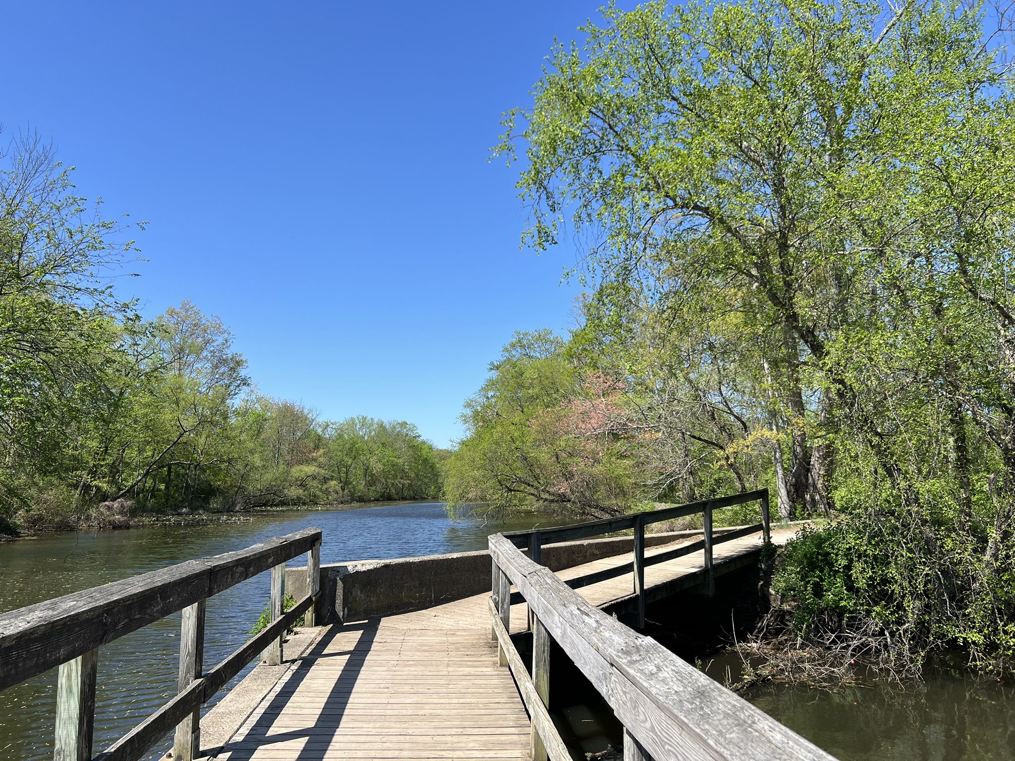 A wooden boardwalk curves over a river, surrounded by green trees, bright sky. - Cranbury loop from Rocky Hill