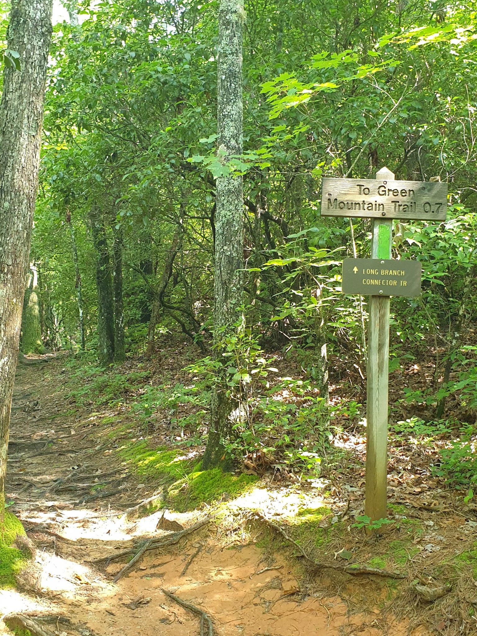 A dirt forest trail with exposed roots and a wooden signpost. - Long Branch Loop Trail