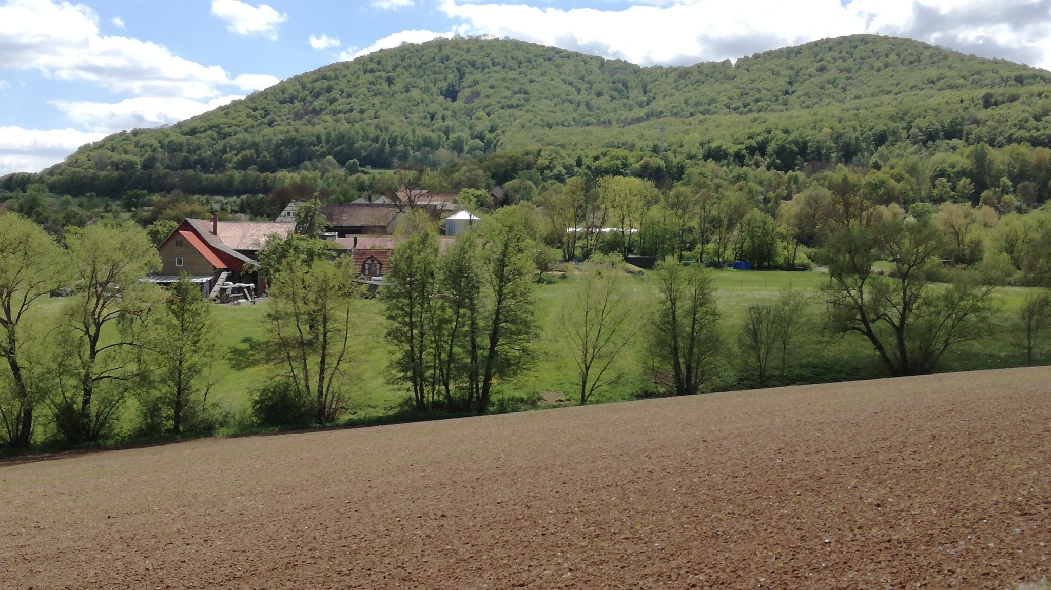 Friedrichsaue (dahinter der Große Gudenberg)