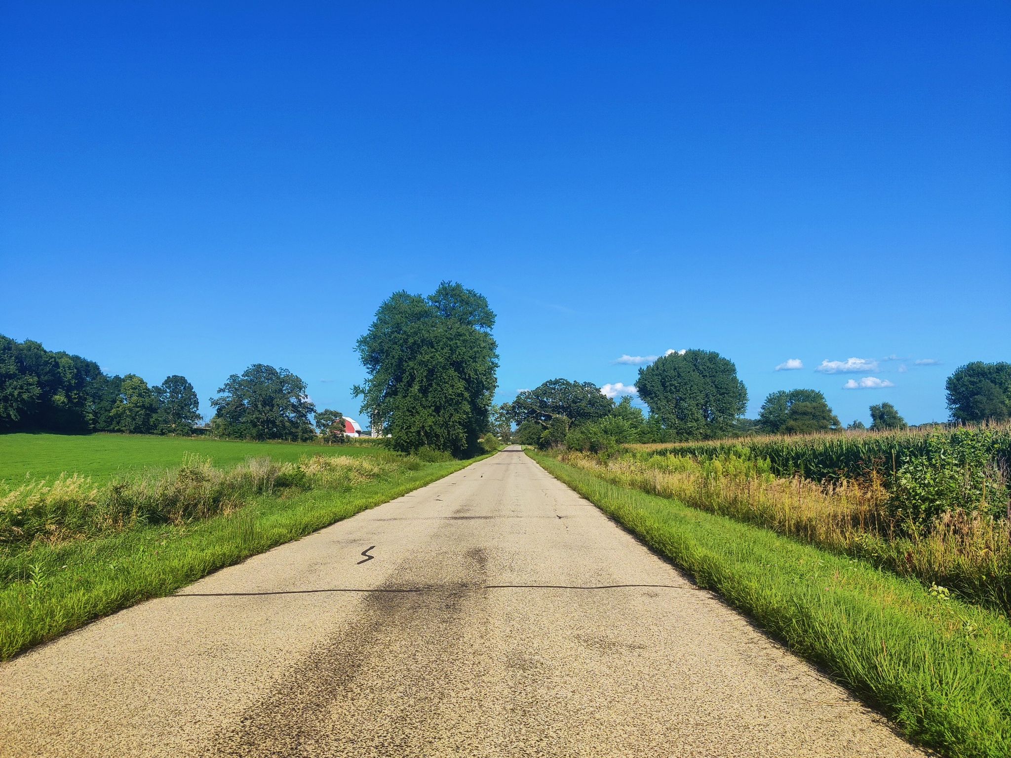 A long, straight road through green fields under a bright blue sky. - Crane loop