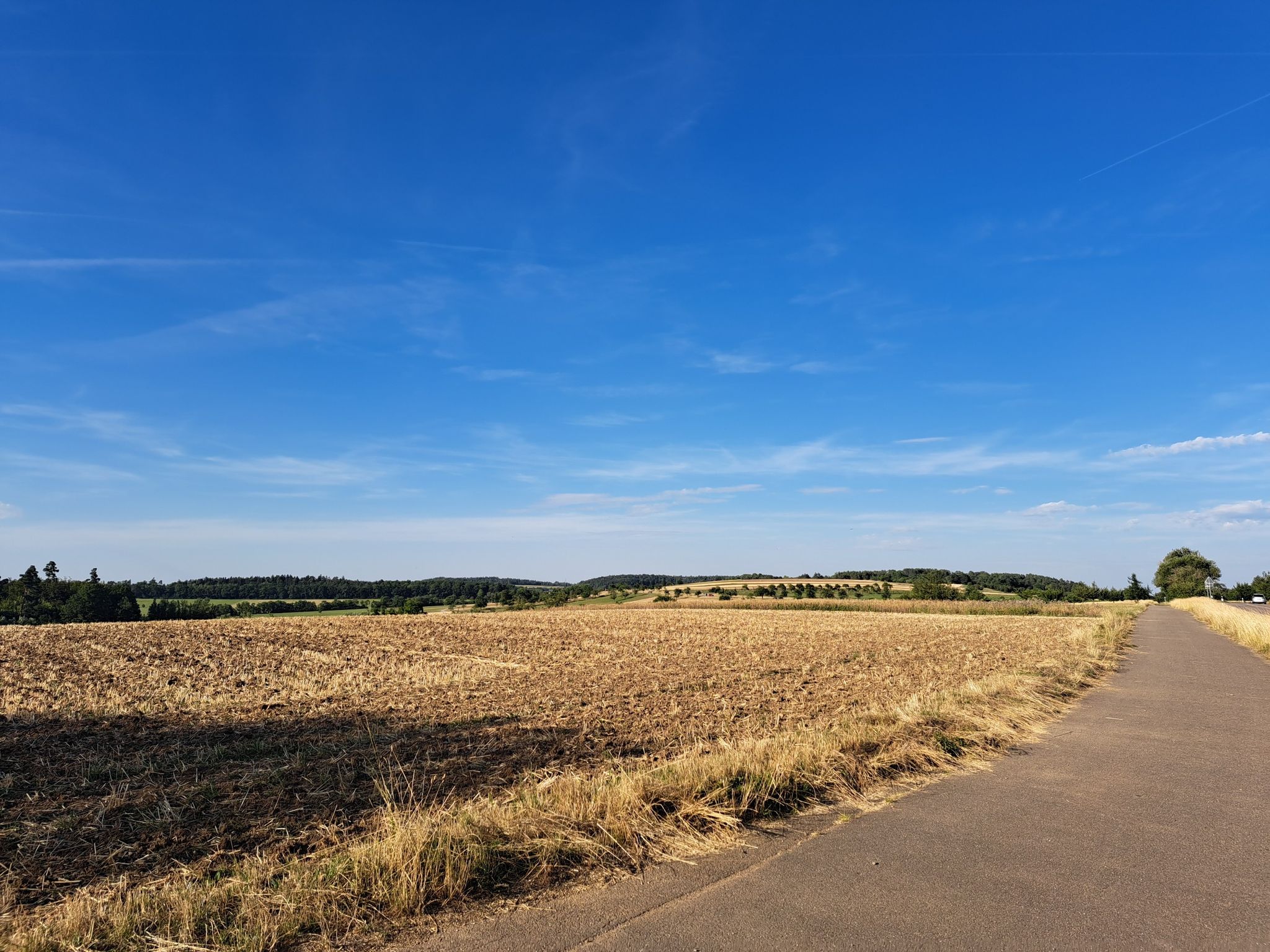 Blick zum Möttlinger Köpfle