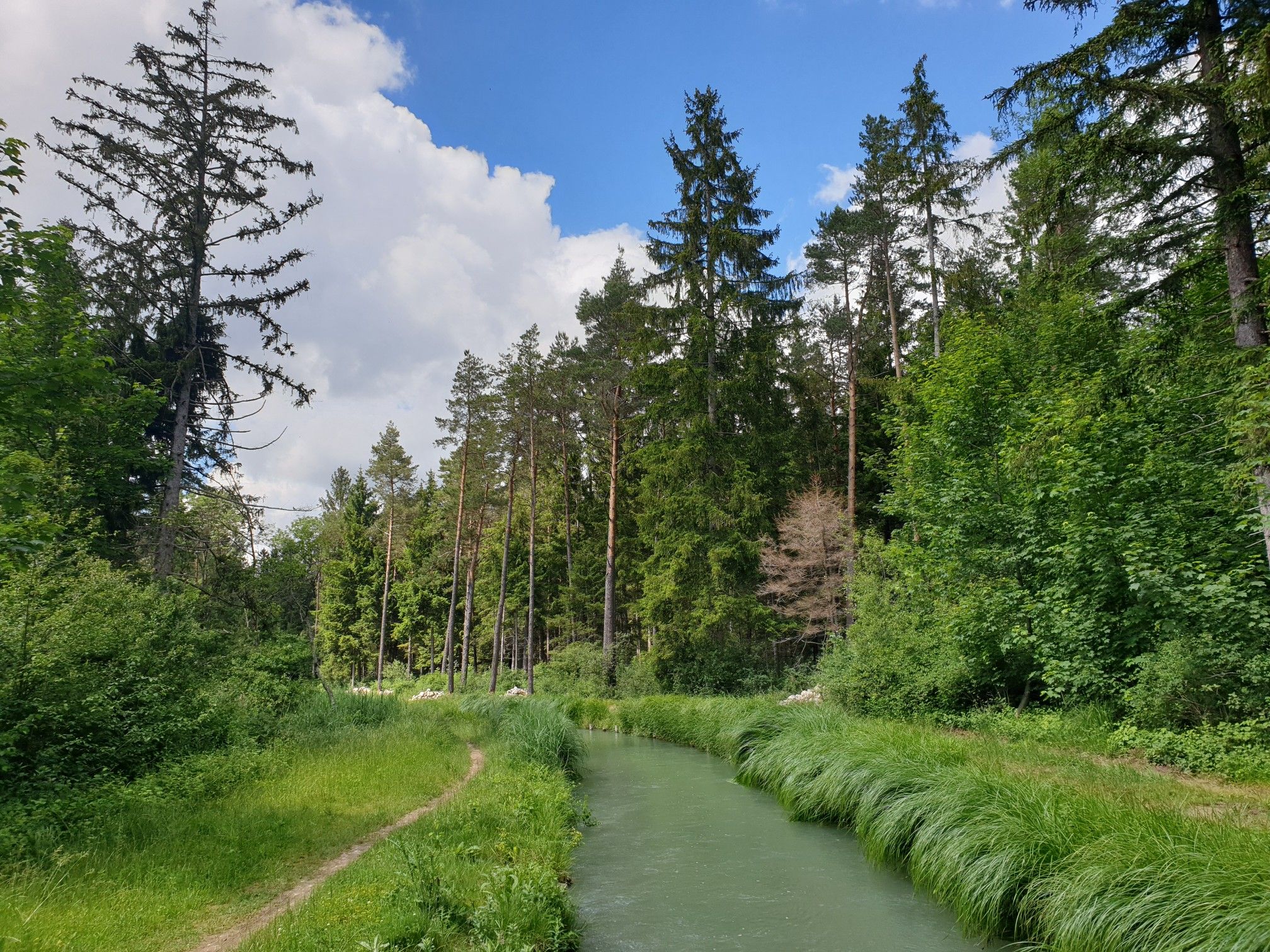 Fluss