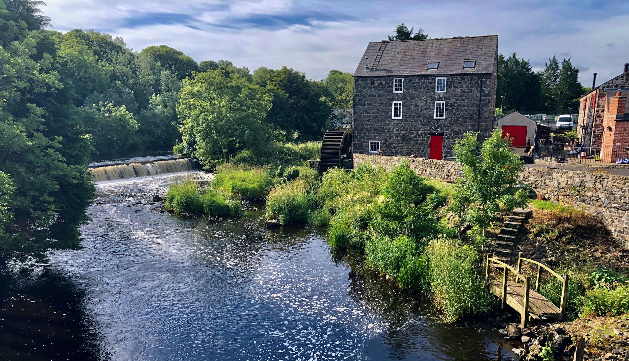 River Bush