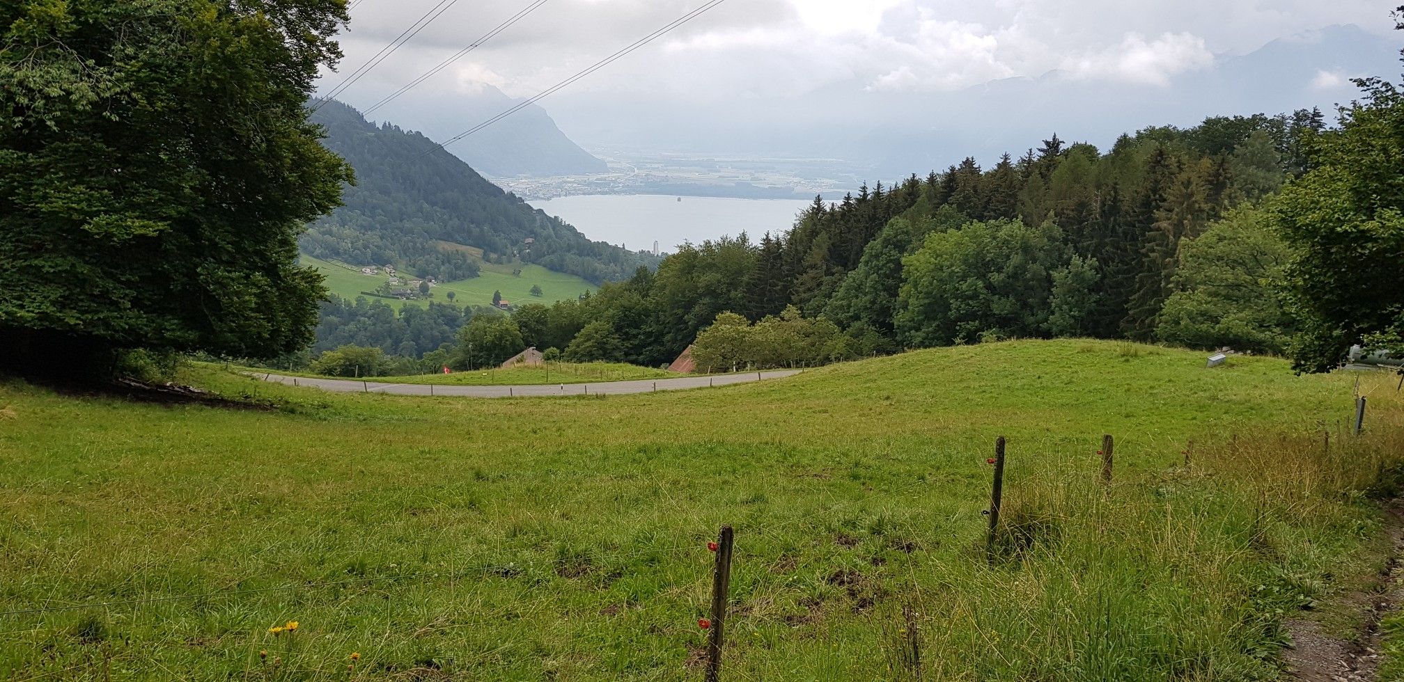 Neuchatel