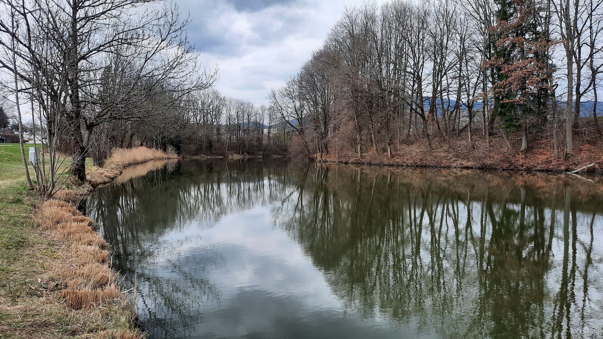 Maxlweiher