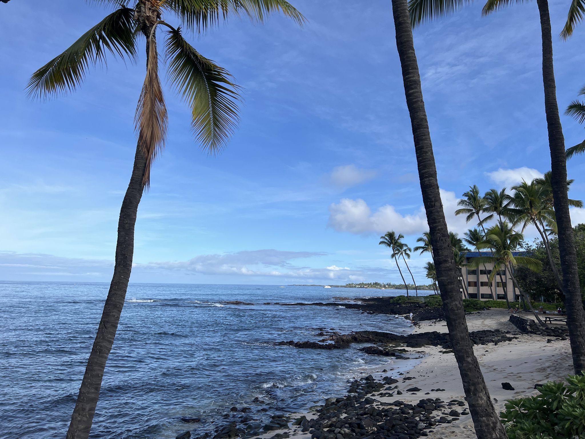 Palm trees frame a sunny rocky beach and blue ocean with distant buildings. - Mokuaikaua Church – Kailua-Kona loop from St. Michael the Archangel Parish