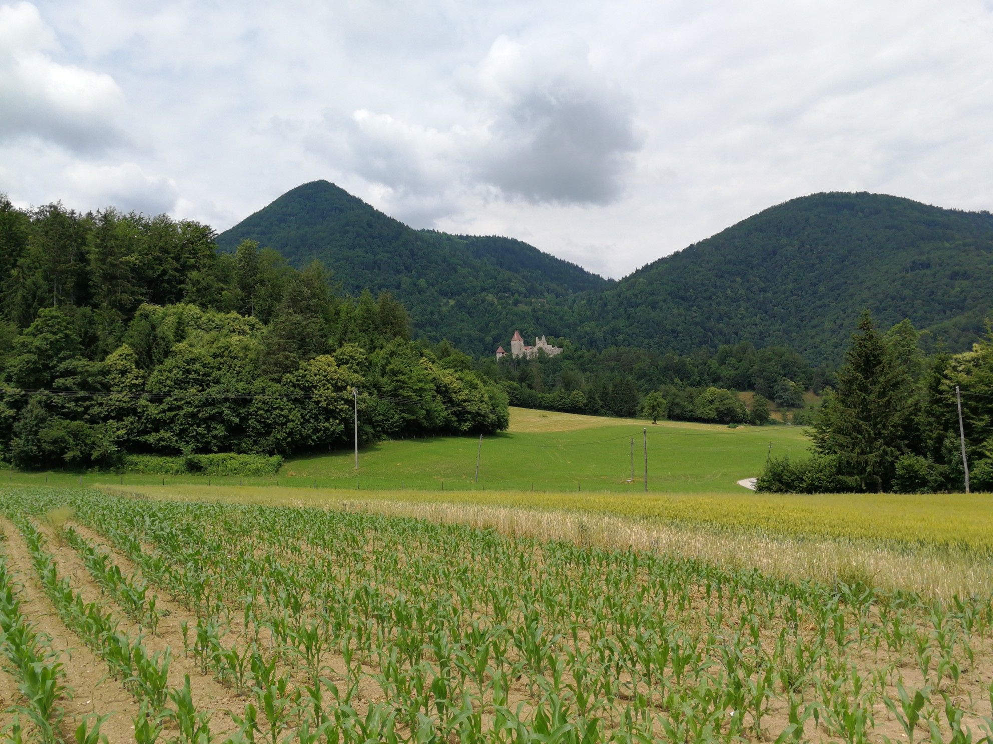 Castel