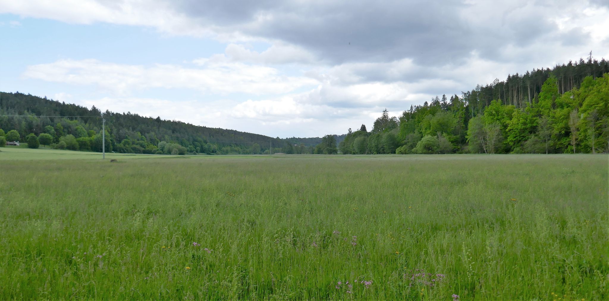 Vilstal bei Siegenhofen Richtung Süden