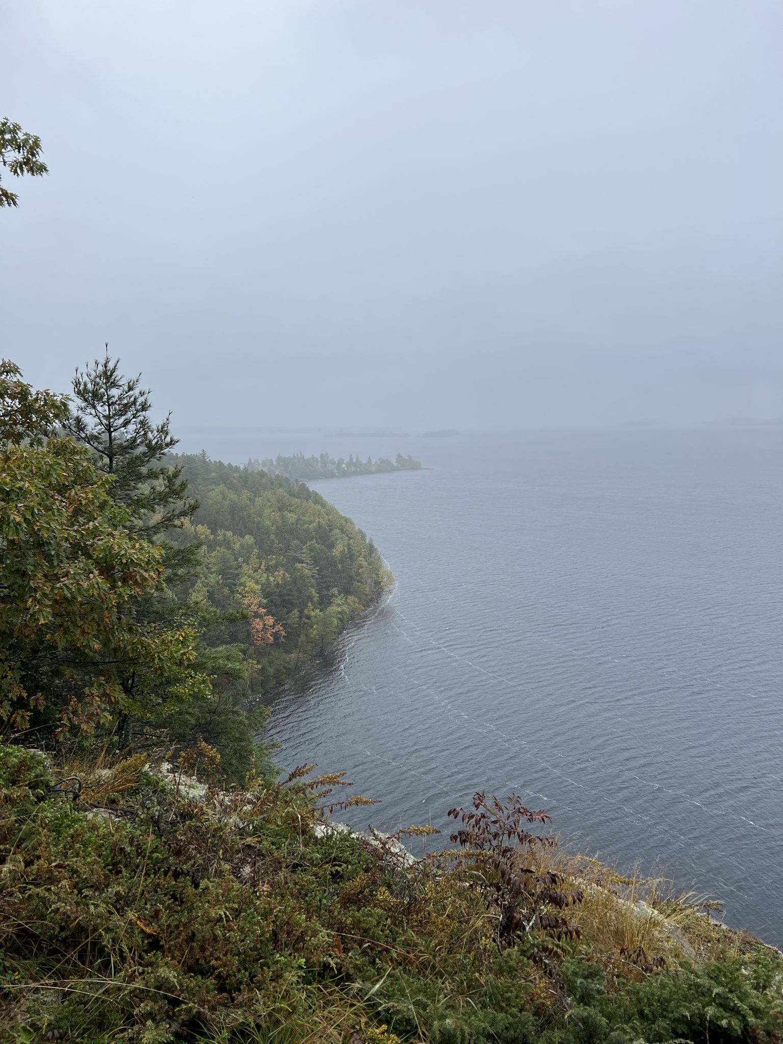 Overcast view of a forested coastline meeting a calm body of water. - Indian and Bridle Trail Loop