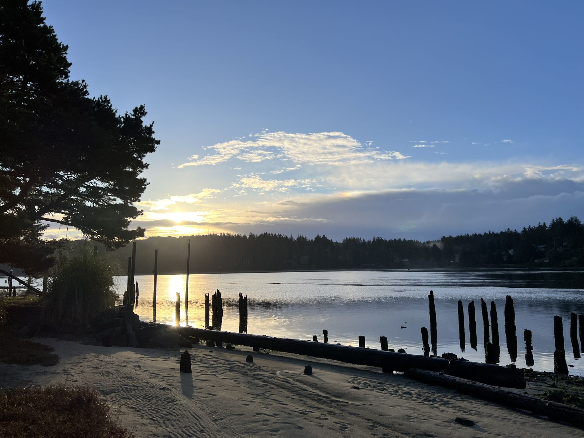 Golden sunset over a calm water body with old dock pilings and sandy shore. - Woahink Lake – Siuslaw River Bridge loop from Jessie M. Honeyman Memorial State Park
