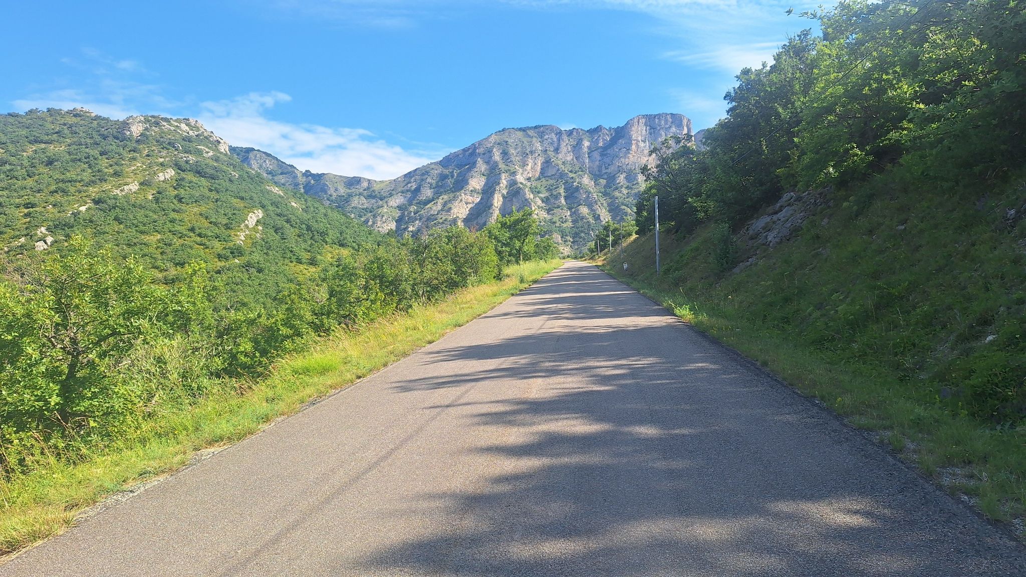 Montée du Col de La Chaudière. Un peu de fraicheur au plus près du faussé.