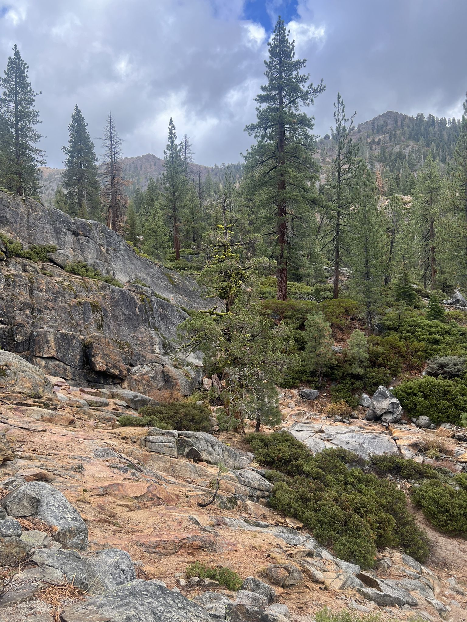 Rocky hillside with scattered pine trees under a cloudy sky. - Shirley Canyon Trail