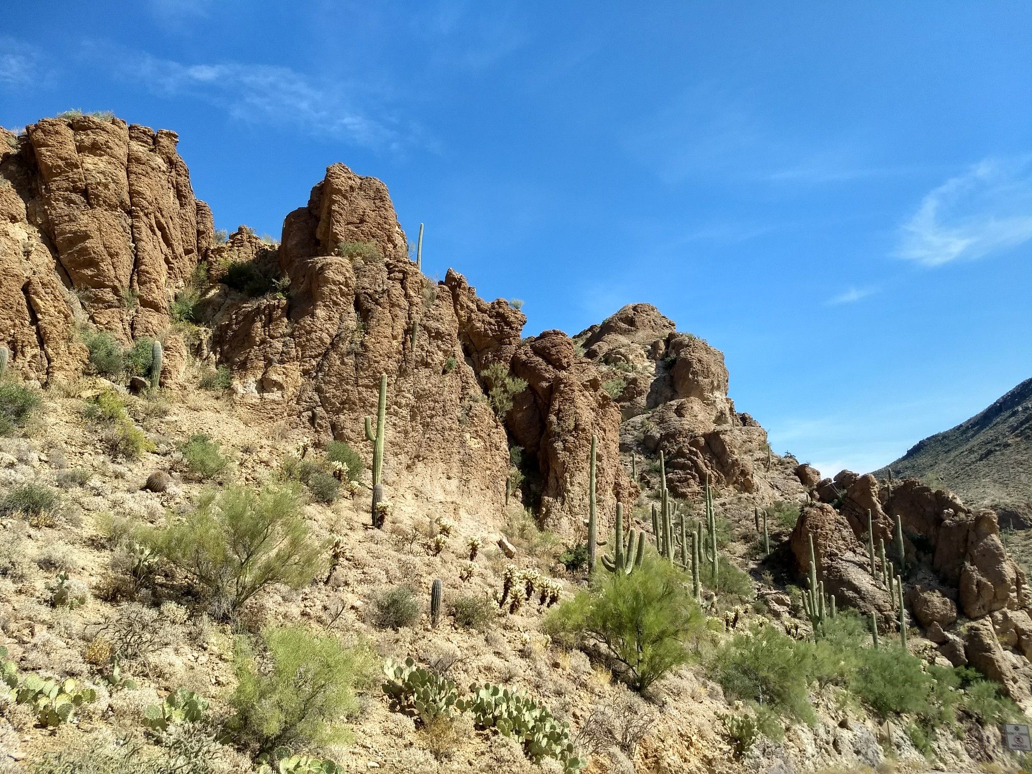 Rocky desert mountainside with saguaro cacti and green bushes under clear blue sky. - Gates Pass and The Loop