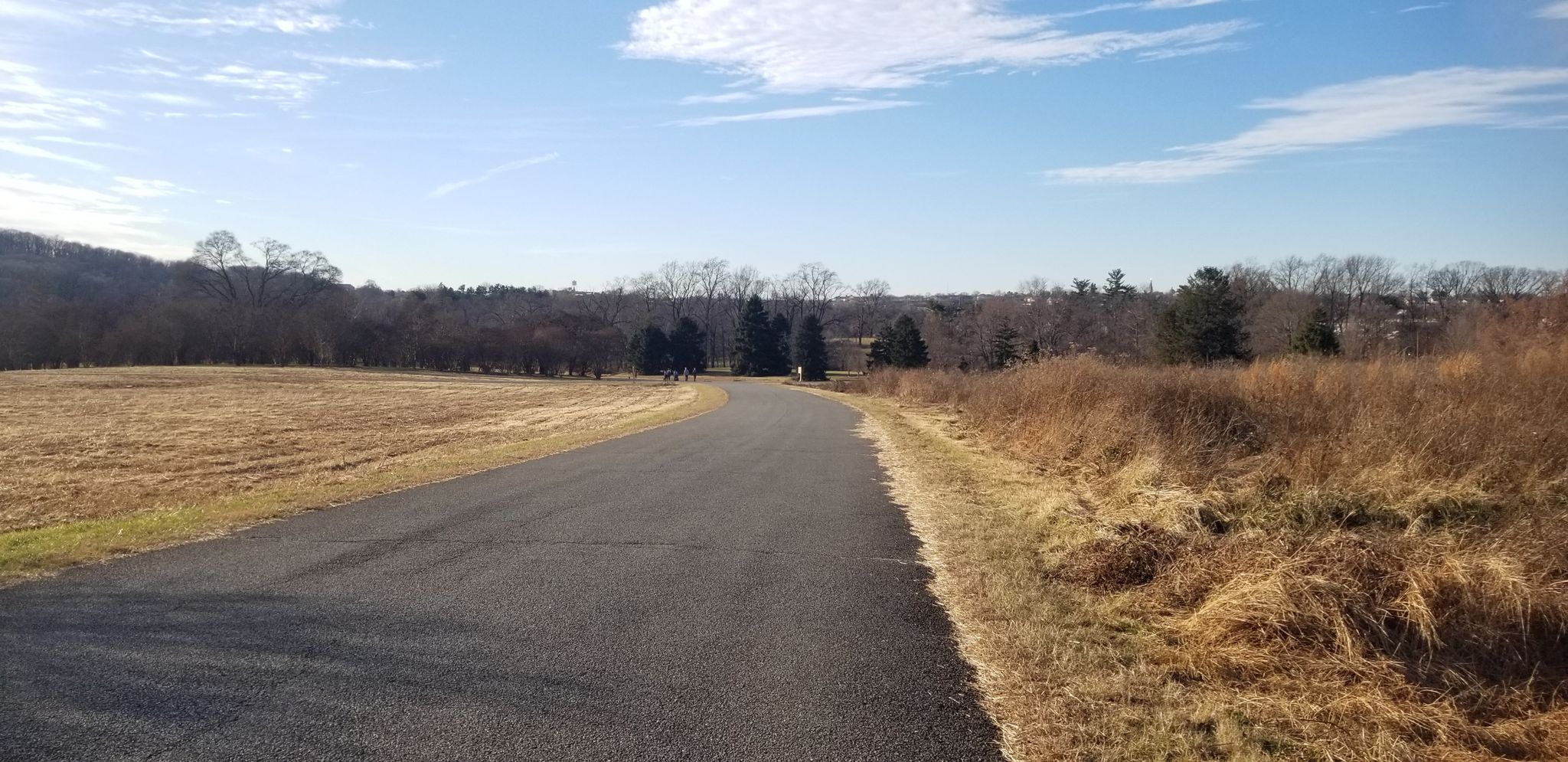 Paved road curves through dry fields under a bright, cloudy sky. - National Arboretum: East Side
