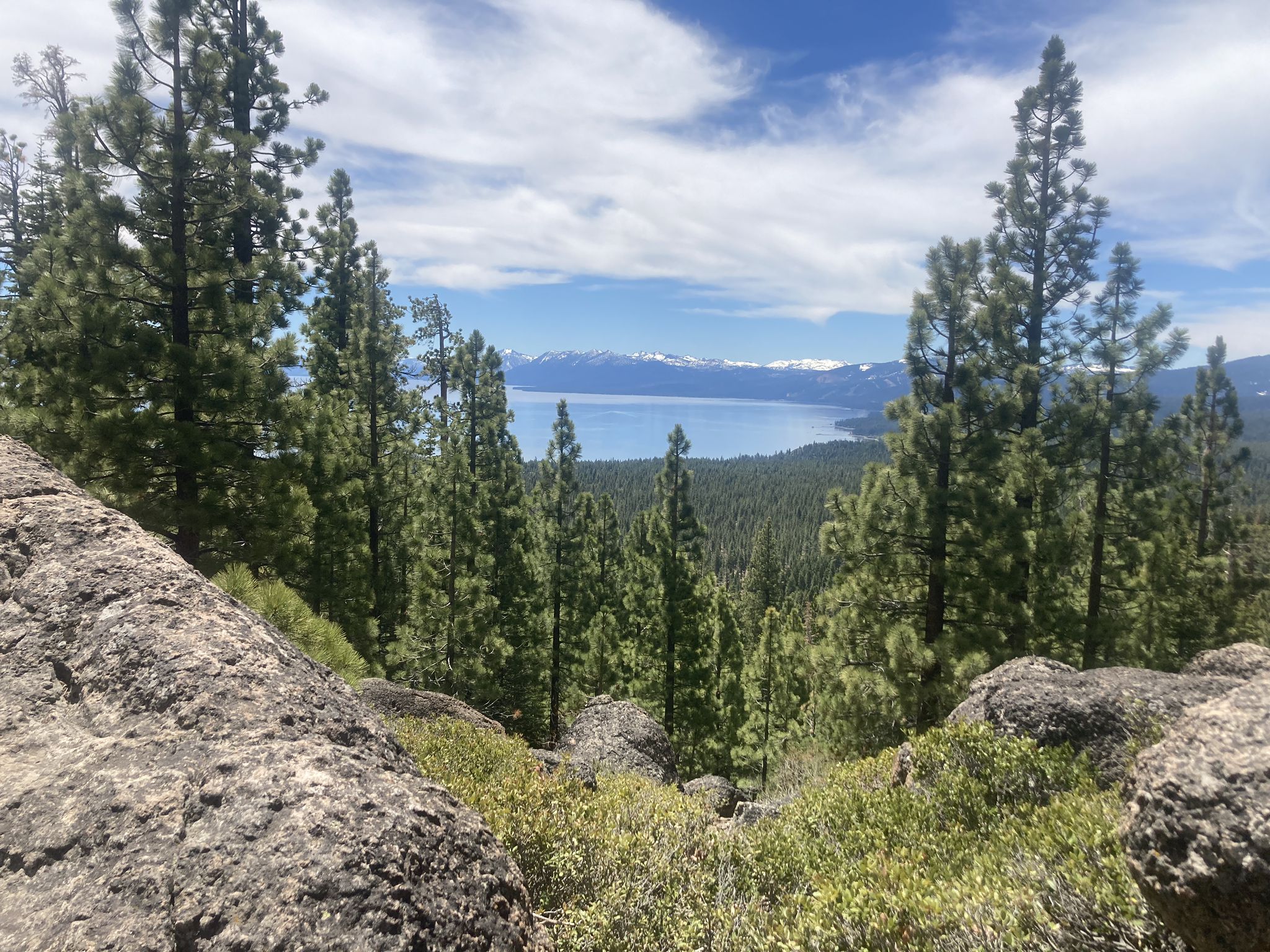 Scenic view of a large lake through pine trees and distant snowy peaks. - Tahoe Rim Trail: Tahoe City to Watson Lake Loop