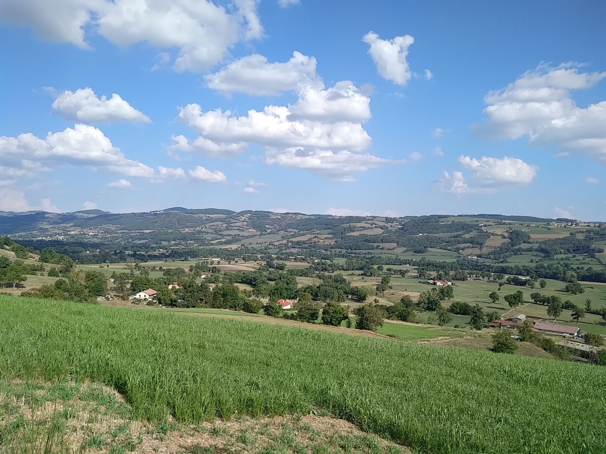 vallée de la Brevenne 03