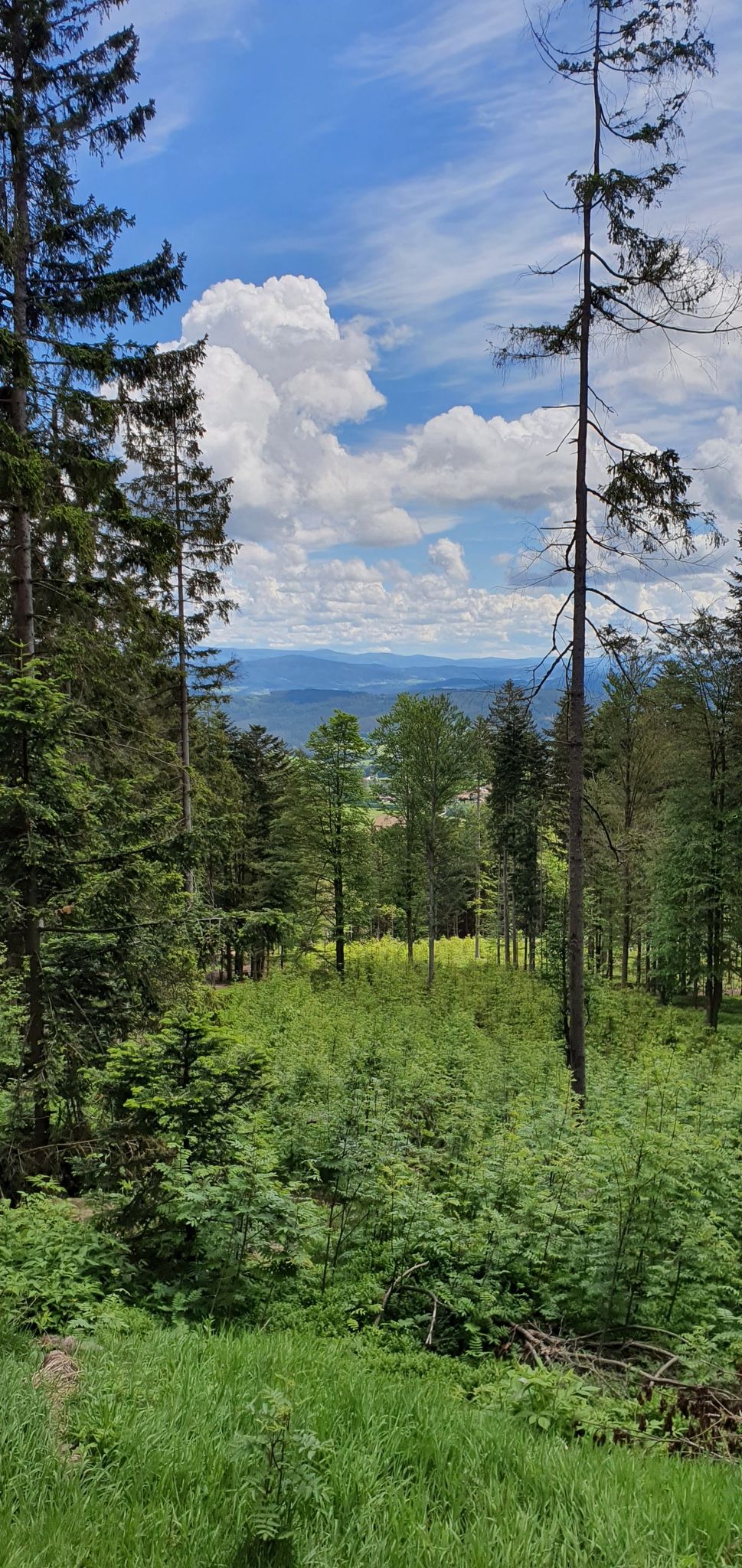 Toller Ausblick