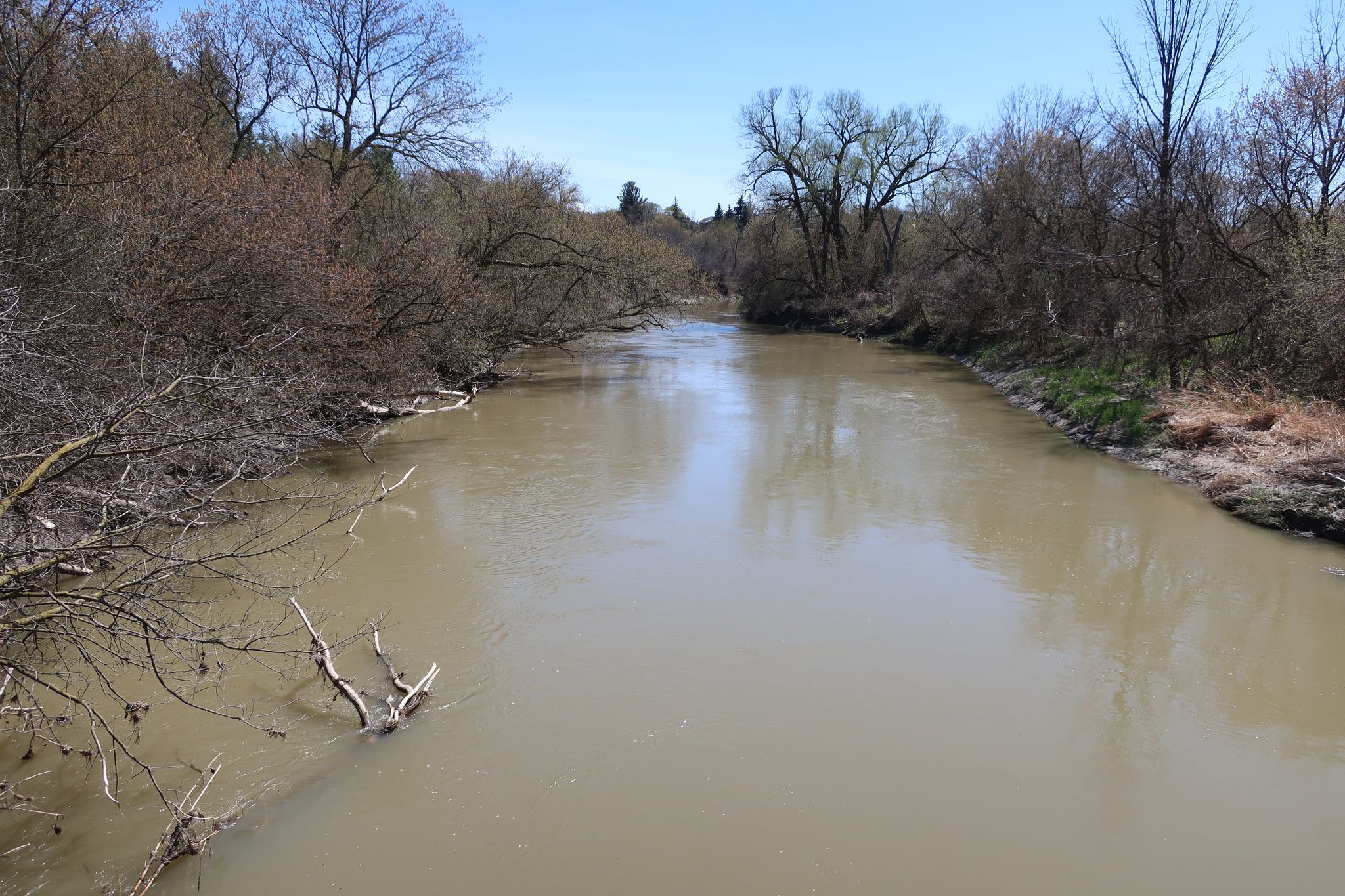 Look from the bridge