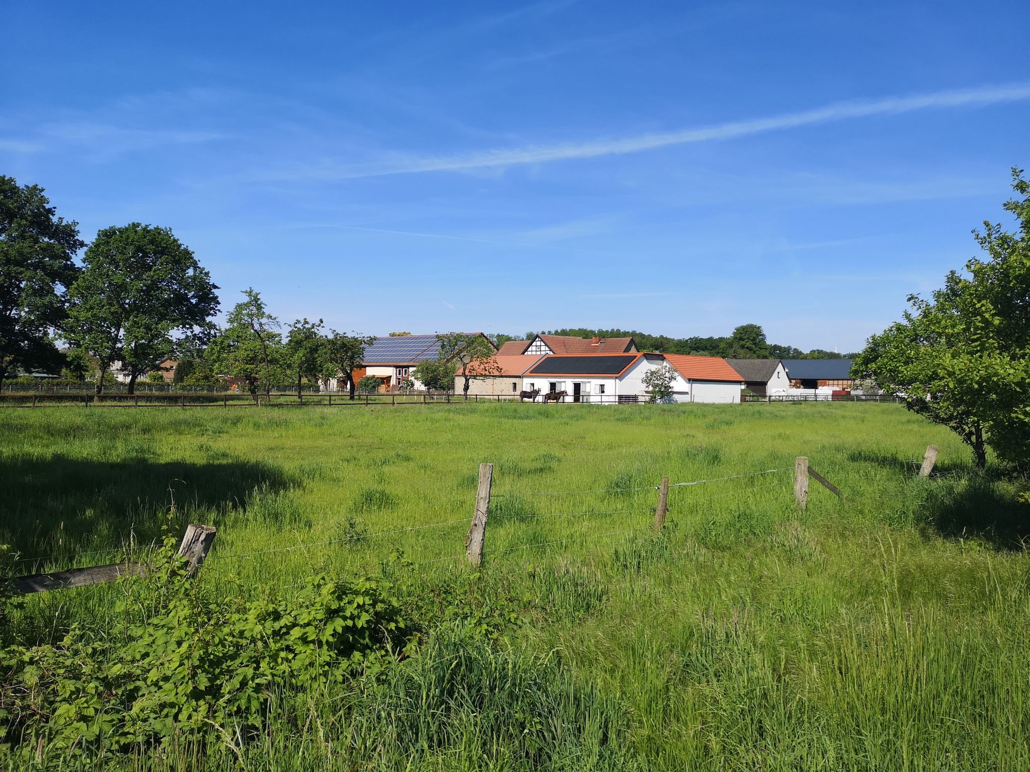 Blick auf Vienau, ich gehe weiter nach Mehrin