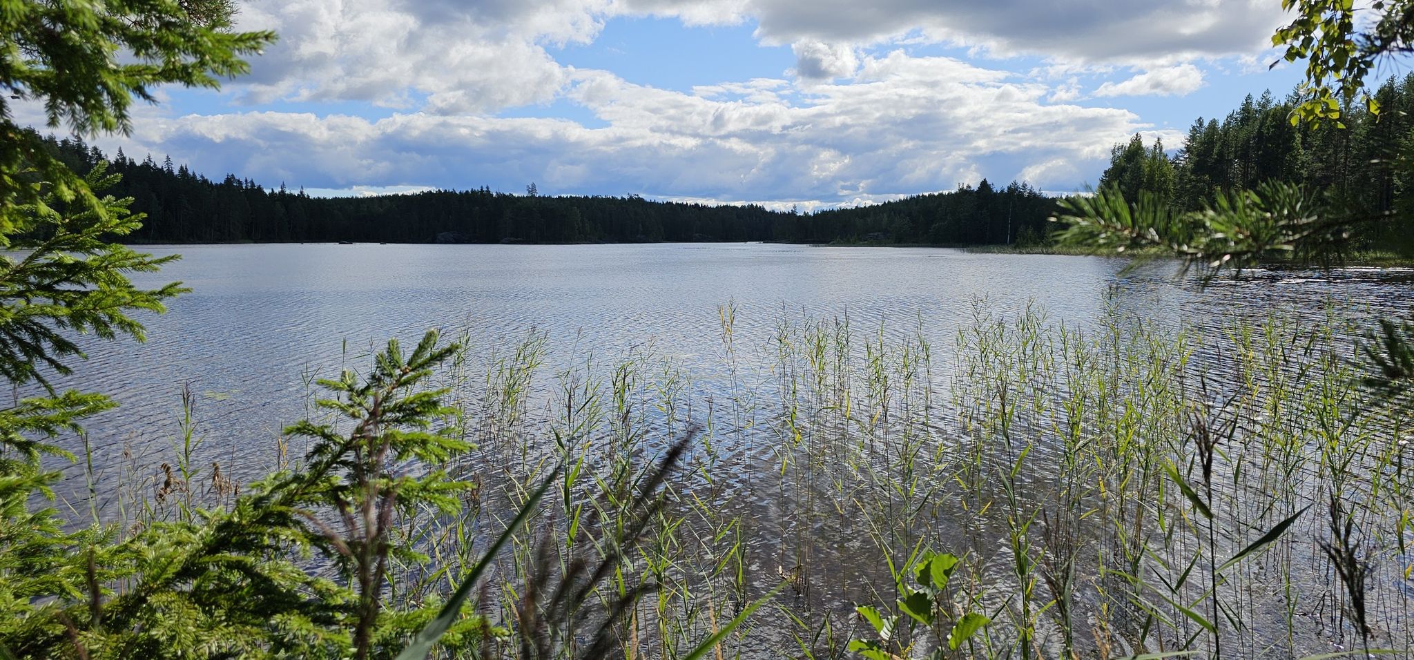 Blick auf den See